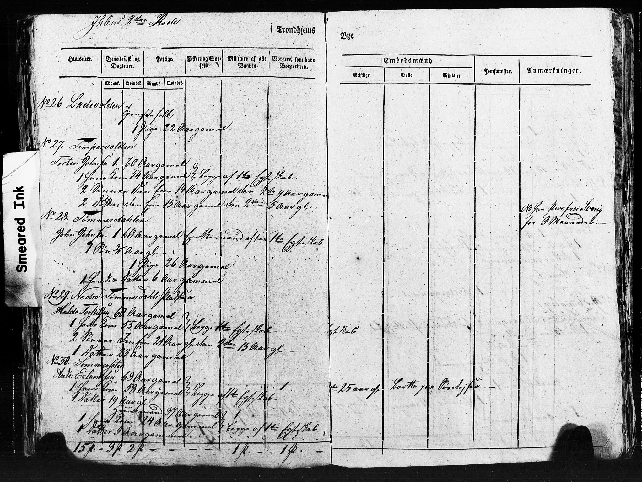 SAT, Census 1815 for Trondheim (transcript), 1815, p. 315