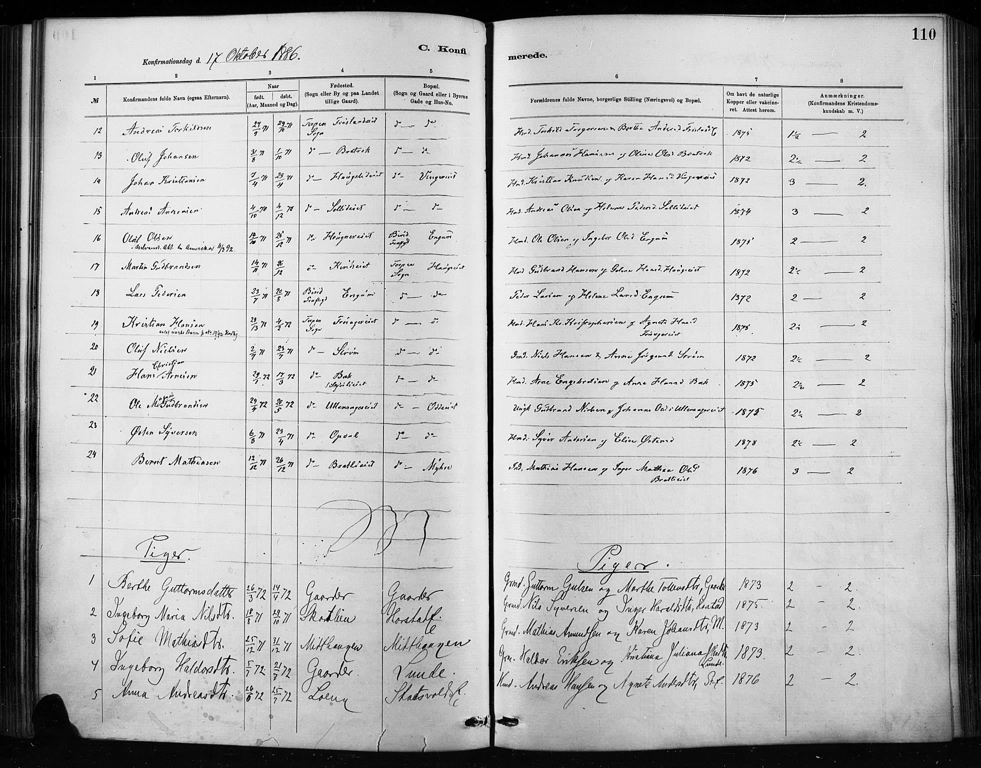 Nordre Land prestekontor, SAH/PREST-124/H/Ha/Haa/L0004: Parish register (official) no. 4, 1882-1896, p. 110