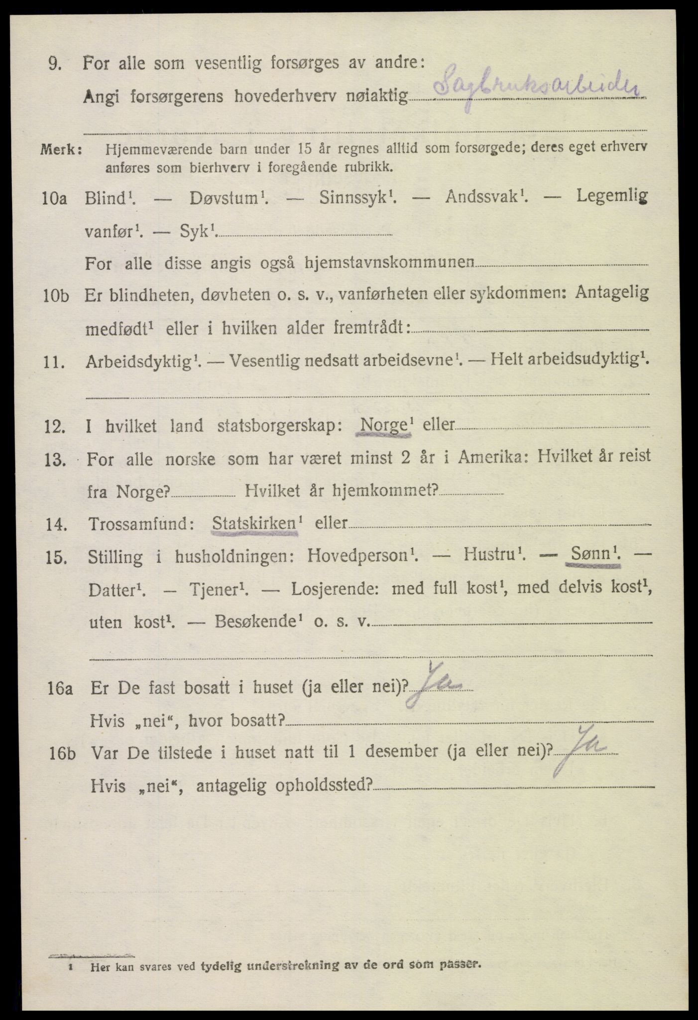 SAK, 1920 census for Hornnes, 1920, p. 2612