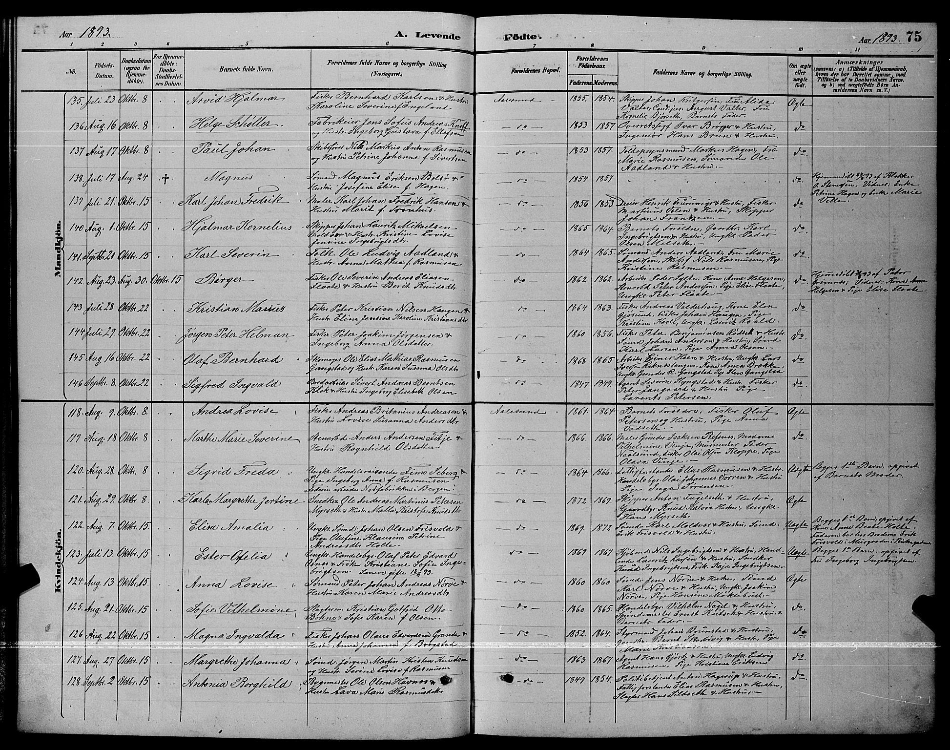 Ministerialprotokoller, klokkerbøker og fødselsregistre - Møre og Romsdal, AV/SAT-A-1454/529/L0467: Parish register (copy) no. 529C04, 1889-1897, p. 75