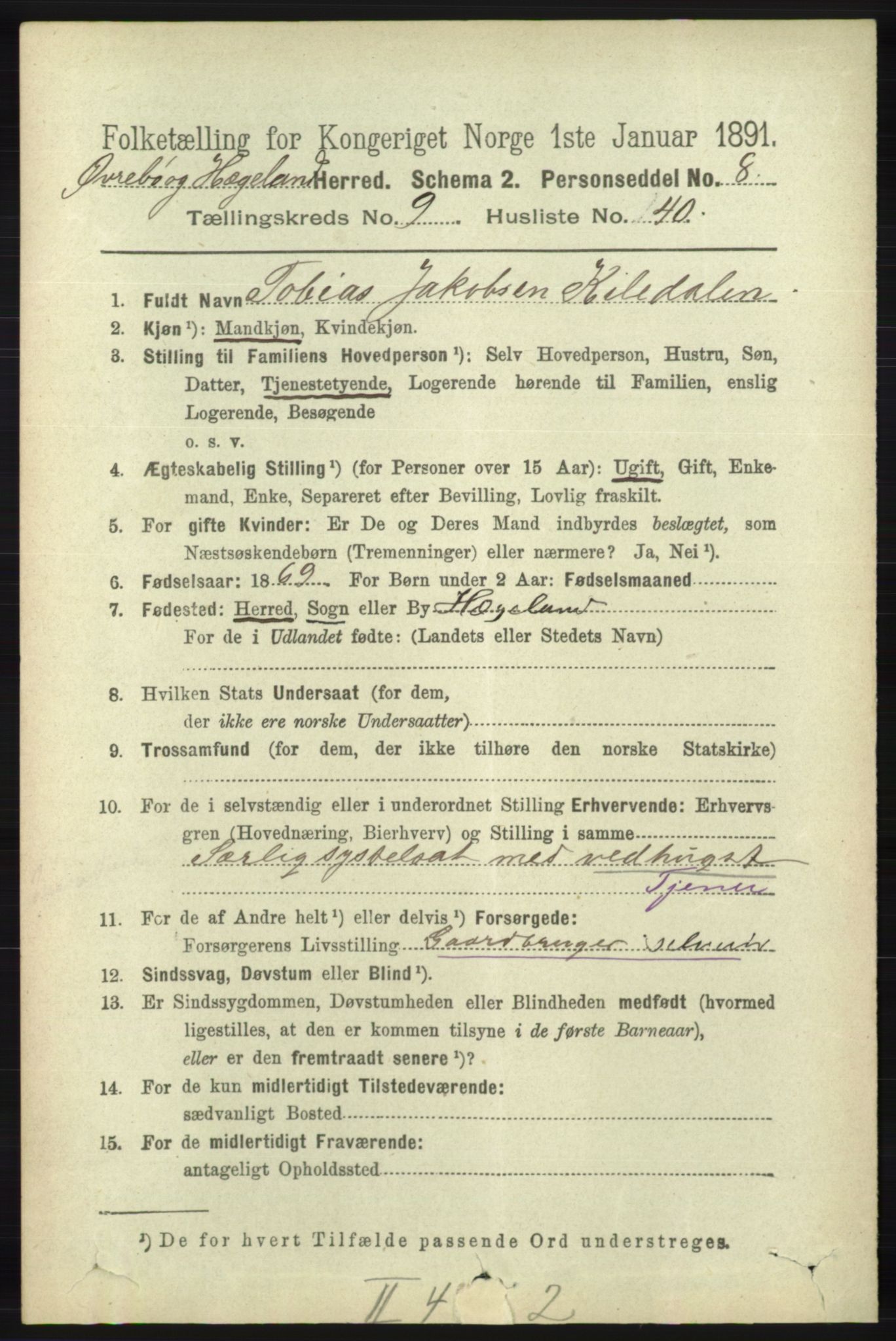 RA, 1891 census for 1016 Øvrebø og Hægeland, 1891, p. 1998