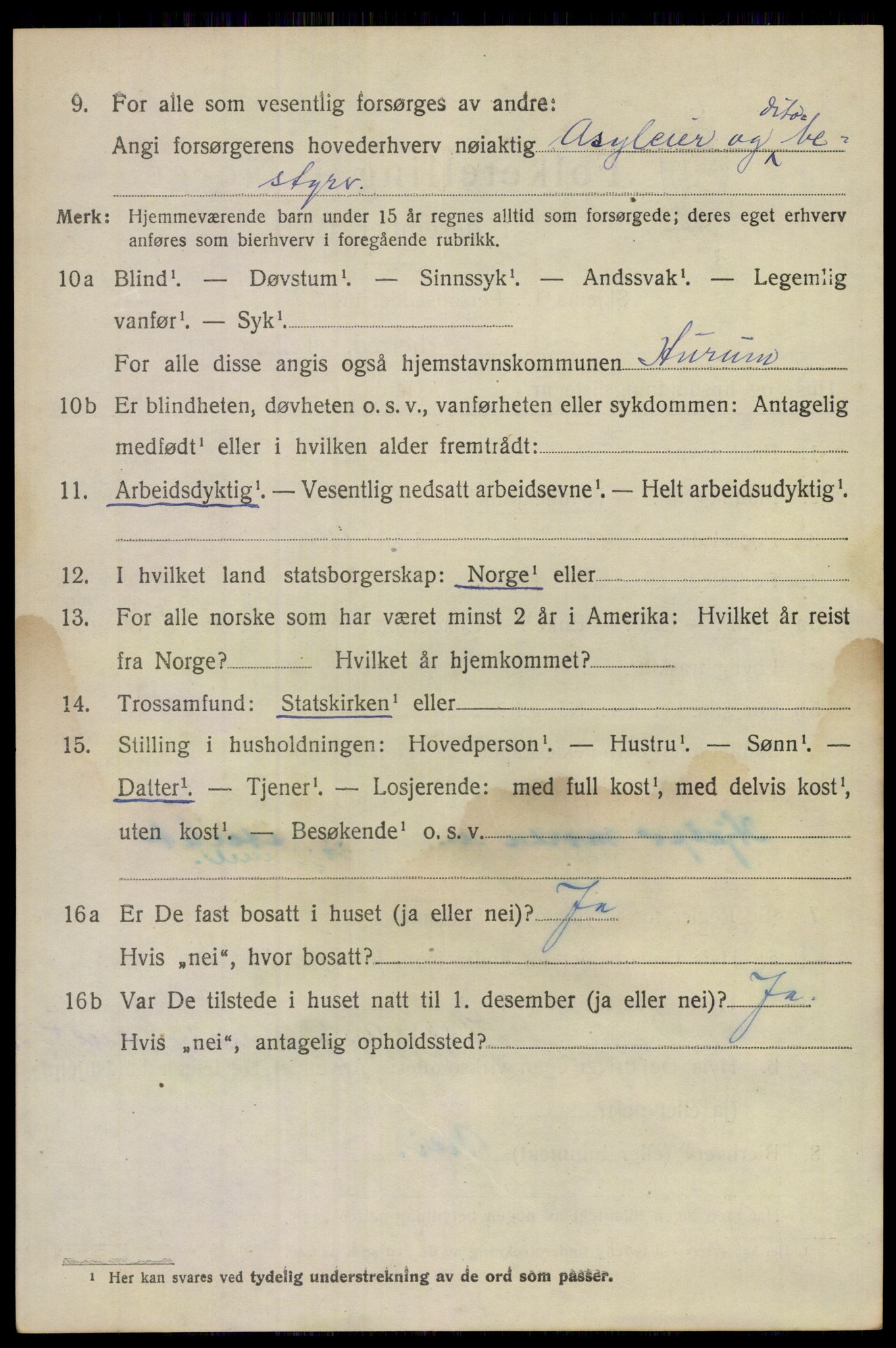 SAKO, 1920 census for Hurum, 1920, p. 11991