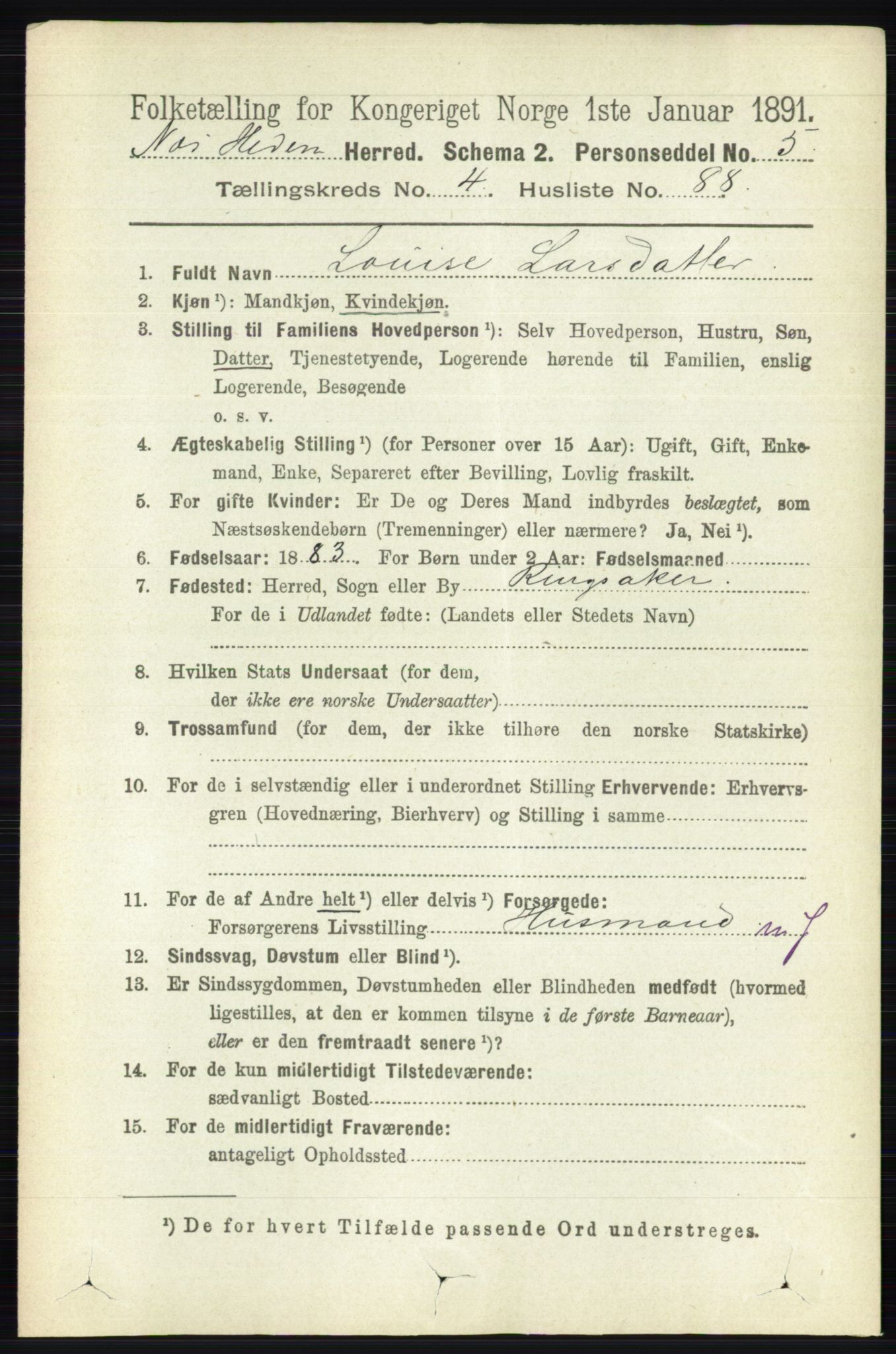 RA, 1891 census for 0411 Nes, 1891, p. 2515