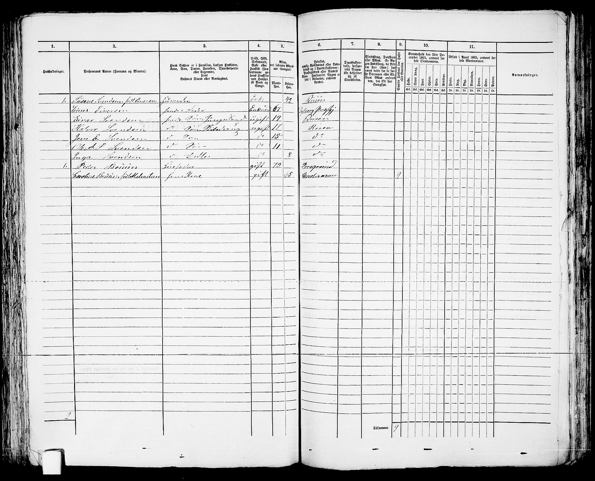 RA, 1865 census for Risør/Risør, 1865, p. 250