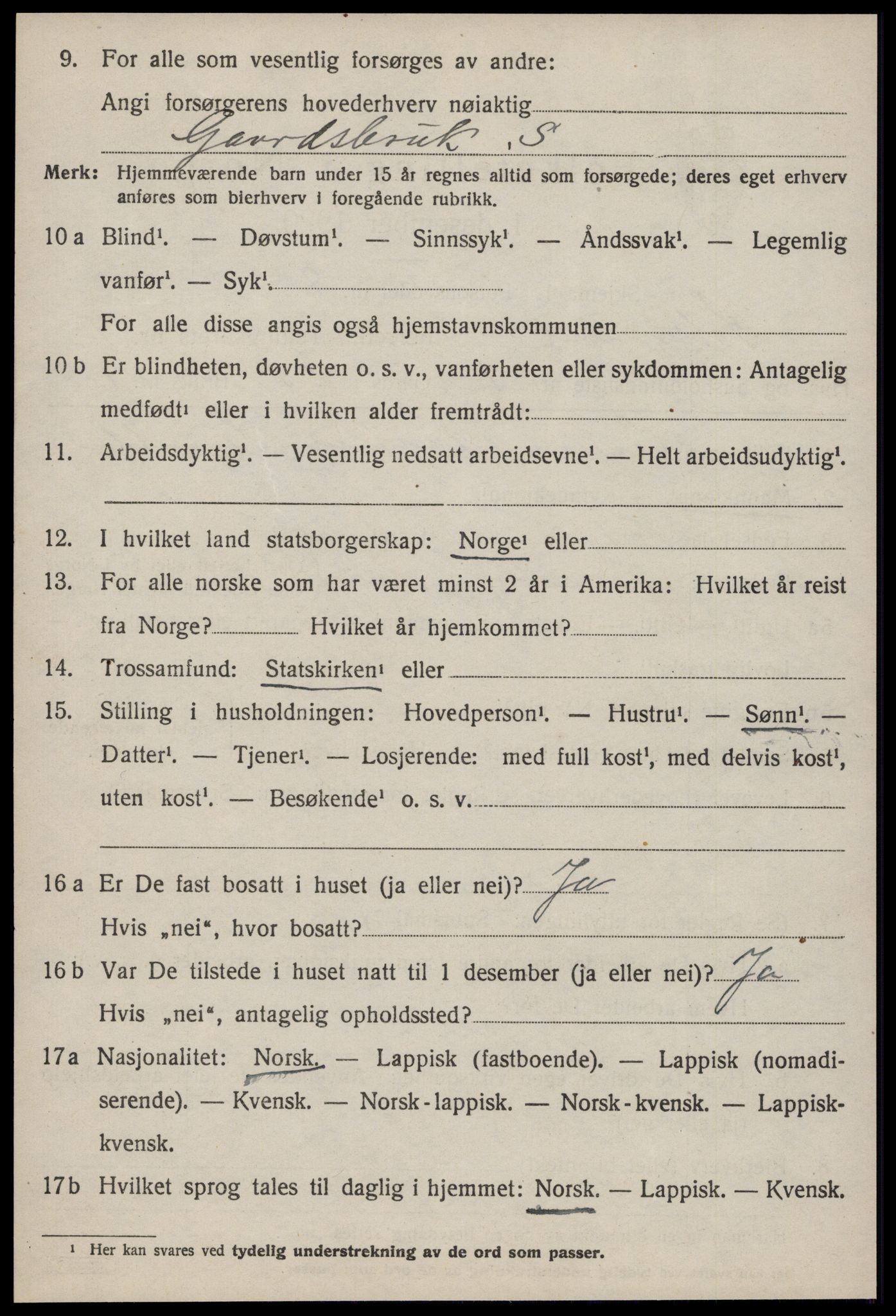 SAT, 1920 census for Soknedal, 1920, p. 3461