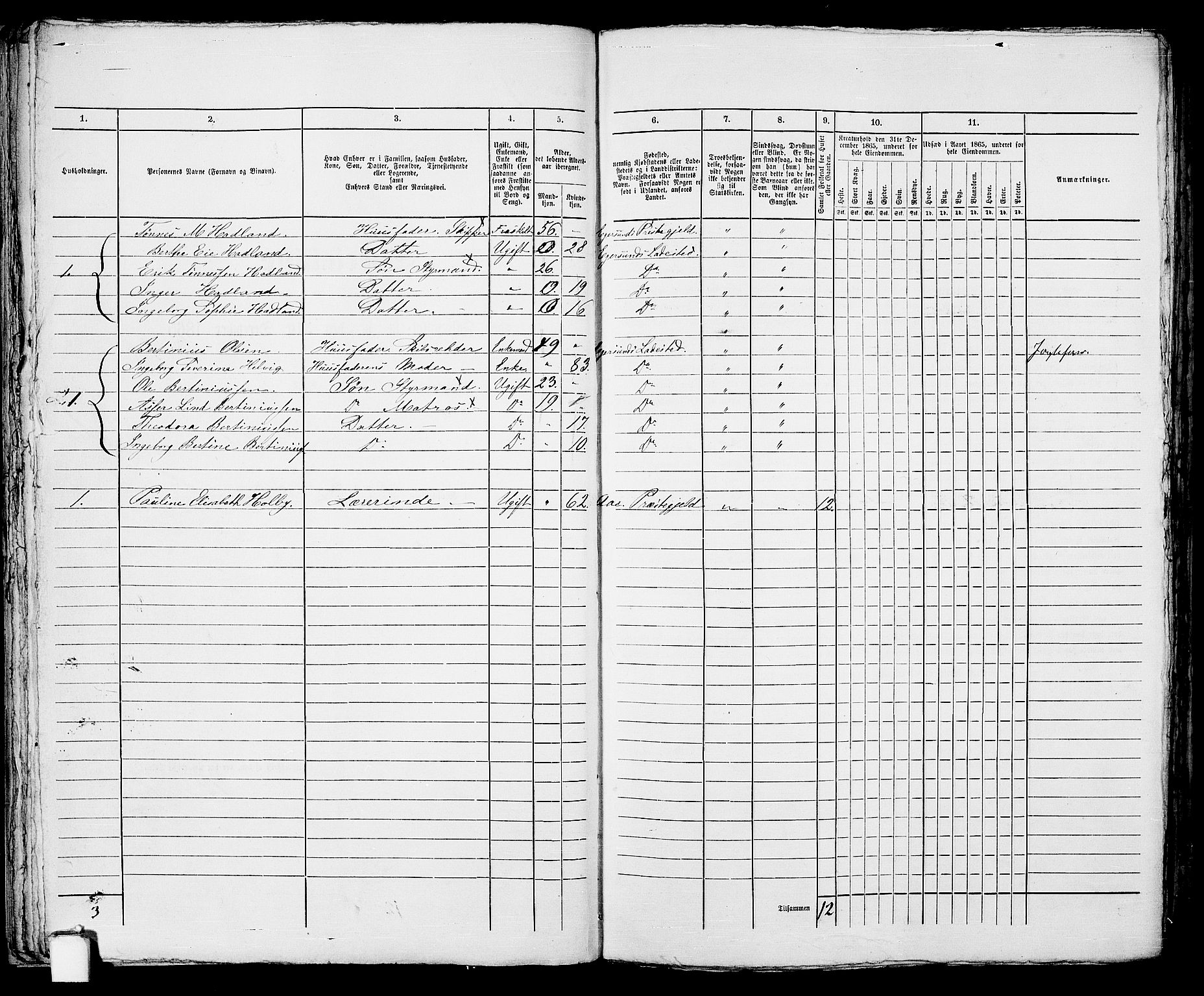 RA, 1865 census for Eigersund parish, Egersund town, 1865, p. 47