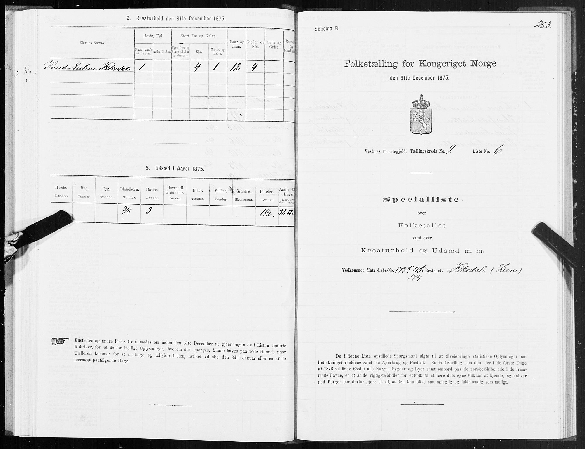 SAT, 1875 census for 1535P Vestnes, 1875, p. 3253