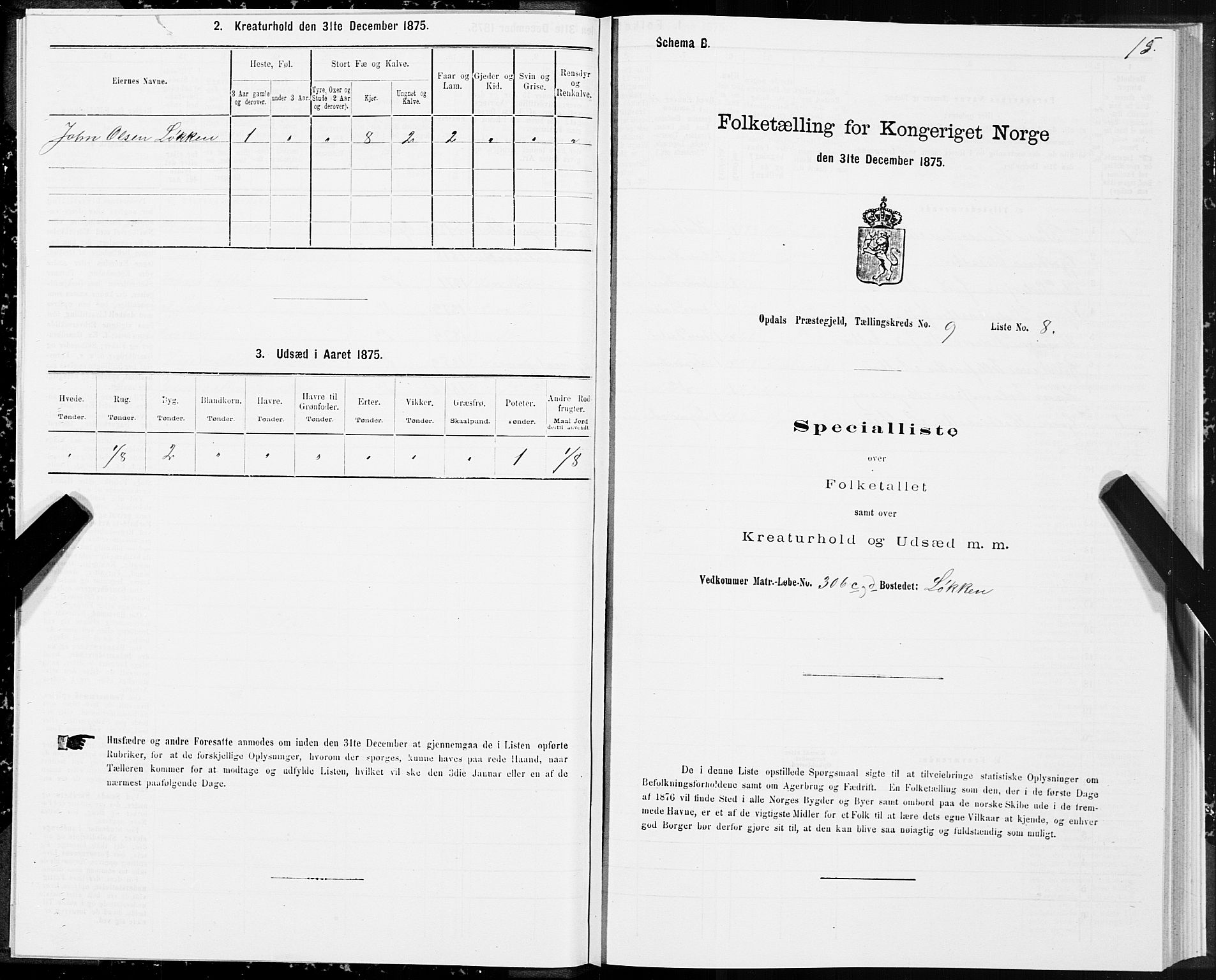 SAT, 1875 census for 1634P Oppdal, 1875, p. 6015