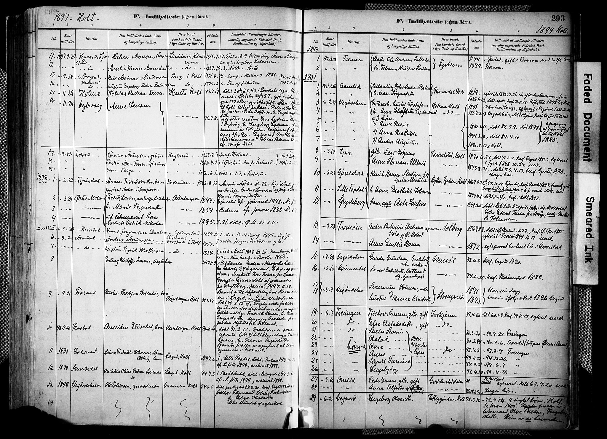 Holt sokneprestkontor, AV/SAK-1111-0021/F/Fa/L0012: Parish register (official) no. A 12, 1885-1907, p. 293