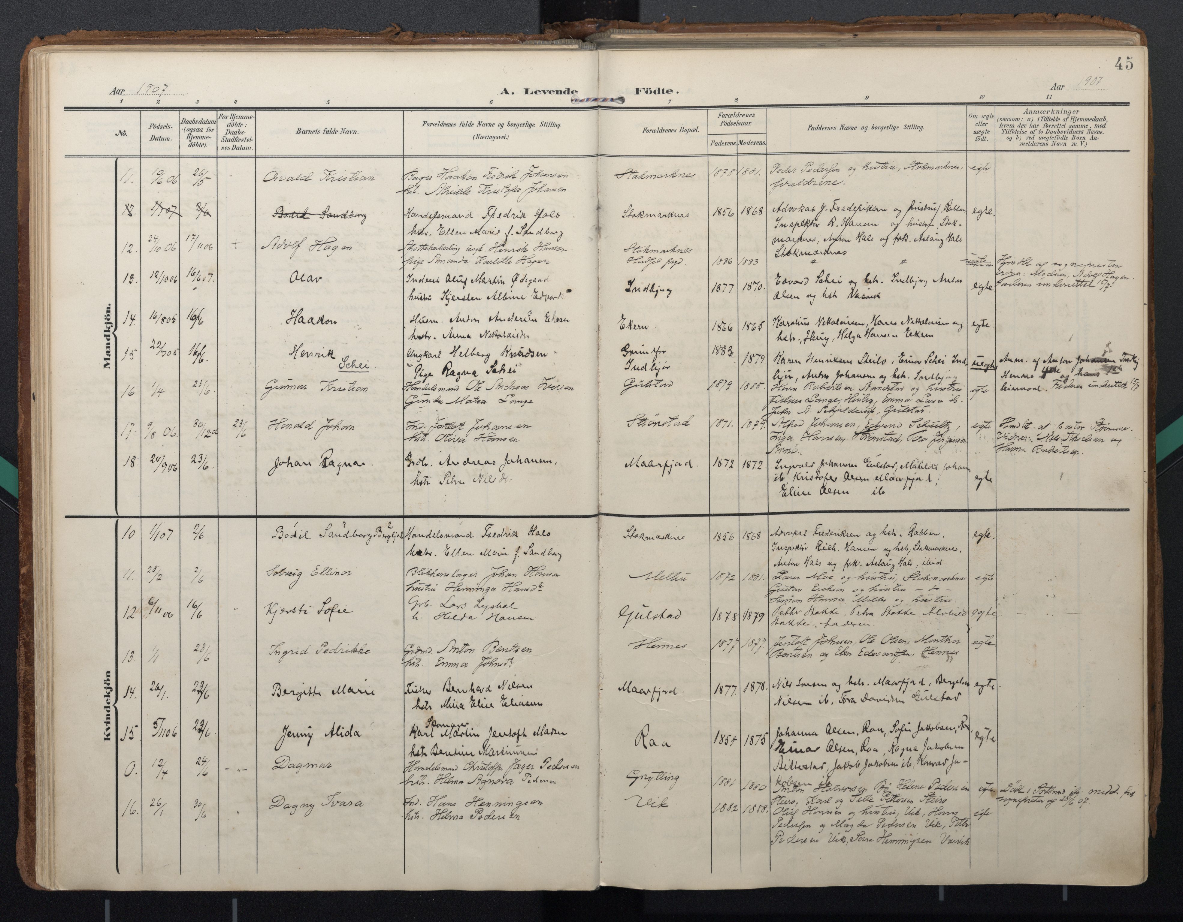 Ministerialprotokoller, klokkerbøker og fødselsregistre - Nordland, AV/SAT-A-1459/888/L1248: Parish register (official) no. 888A14, 1904-1913, p. 45