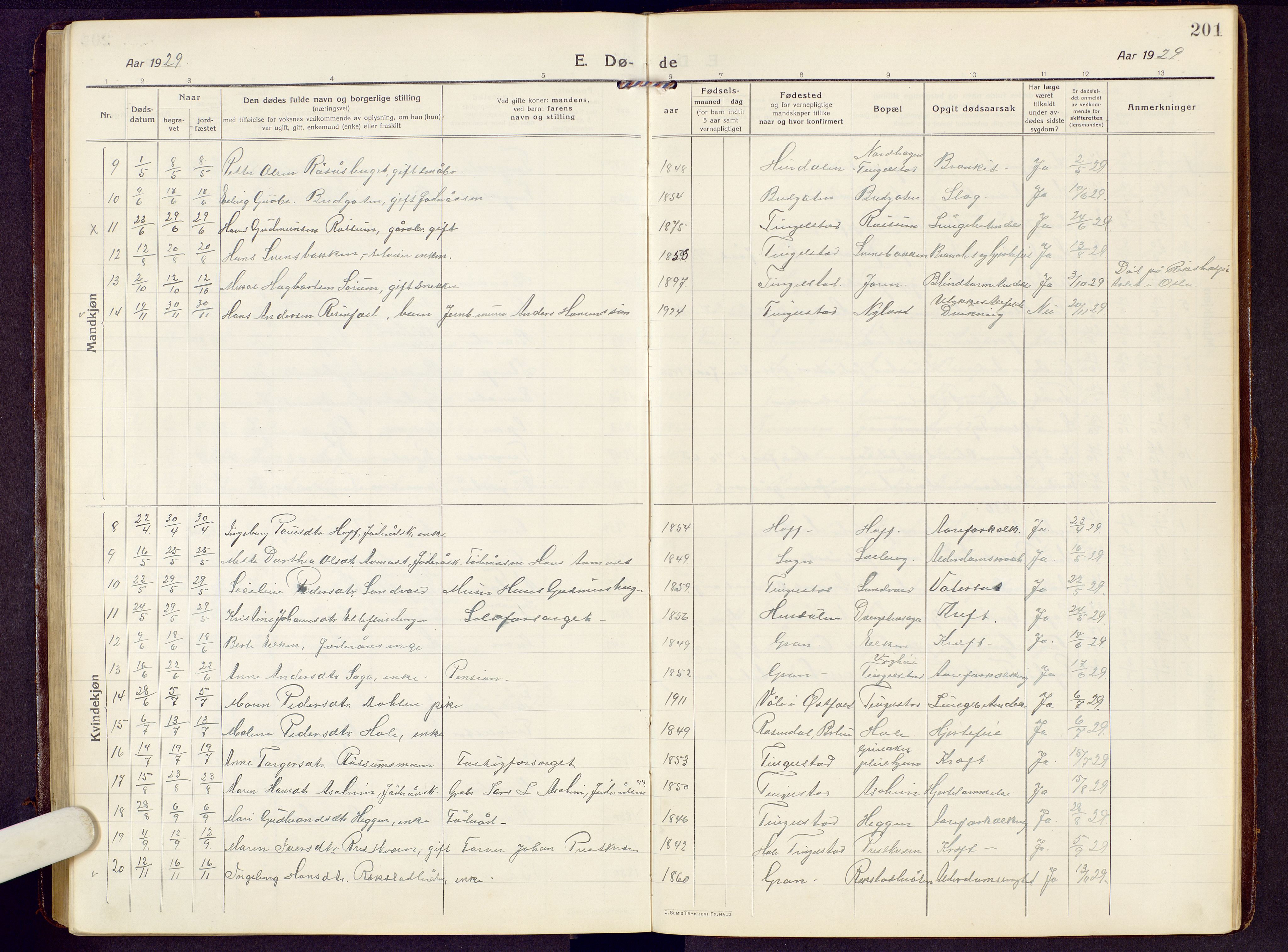 Brandbu prestekontor, AV/SAH-PREST-114/H/Ha/Hab/L0010: Parish register (copy) no. 10, 1916-1930, p. 201