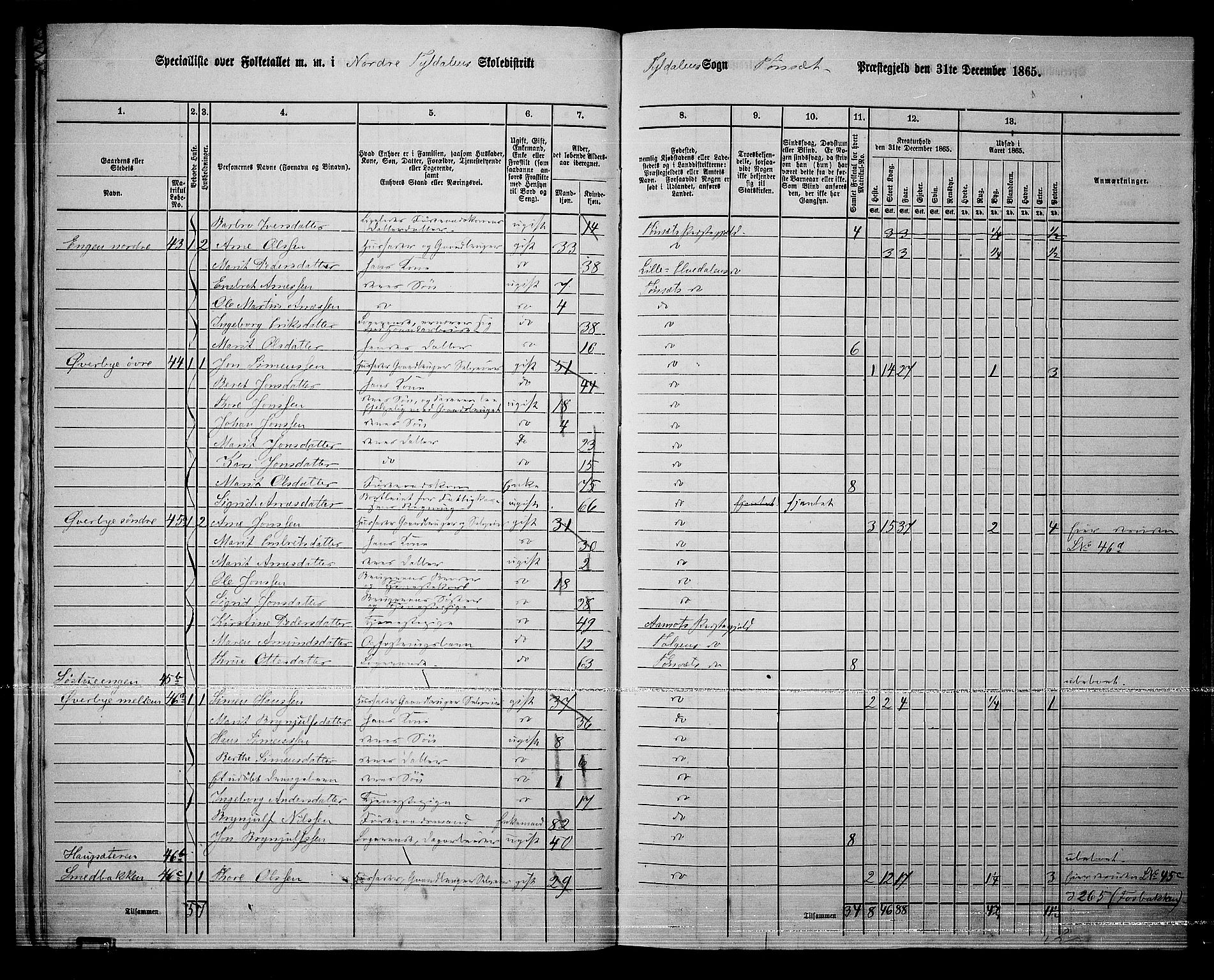 RA, 1865 census for Tynset, 1865, p. 29