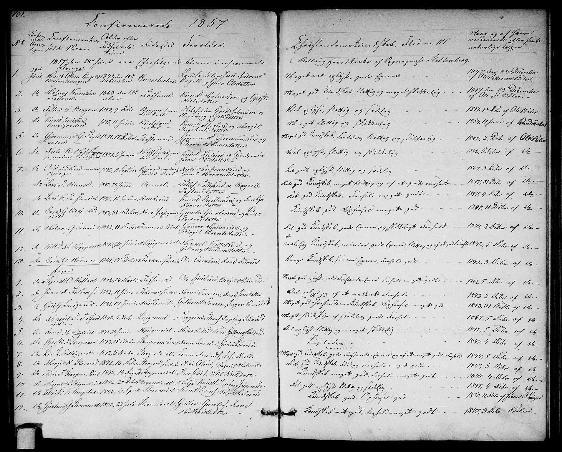 Rollag kirkebøker, SAKO/A-240/G/Ga/L0003: Parish register (copy) no. I 3, 1856-1887, p. 101