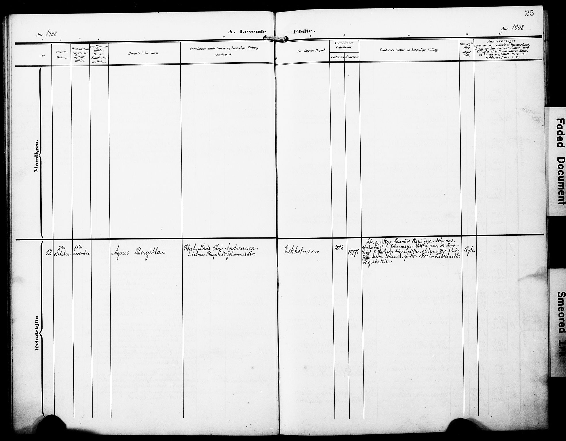 Austevoll Sokneprestembete, SAB/A-74201/H/Hab: Parish register (copy) no. B 5, 1902-1910, p. 25
