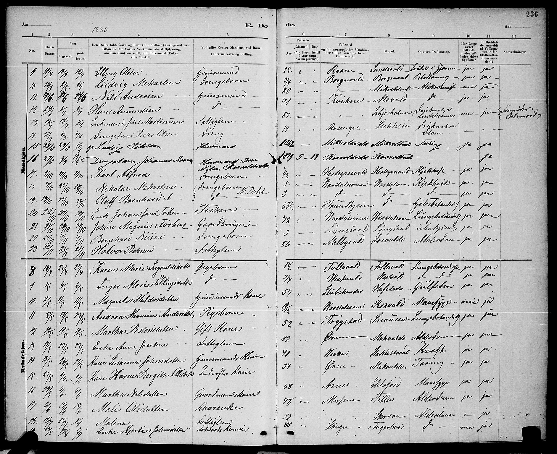 Ministerialprotokoller, klokkerbøker og fødselsregistre - Nord-Trøndelag, SAT/A-1458/723/L0256: Parish register (copy) no. 723C04, 1879-1890, p. 236