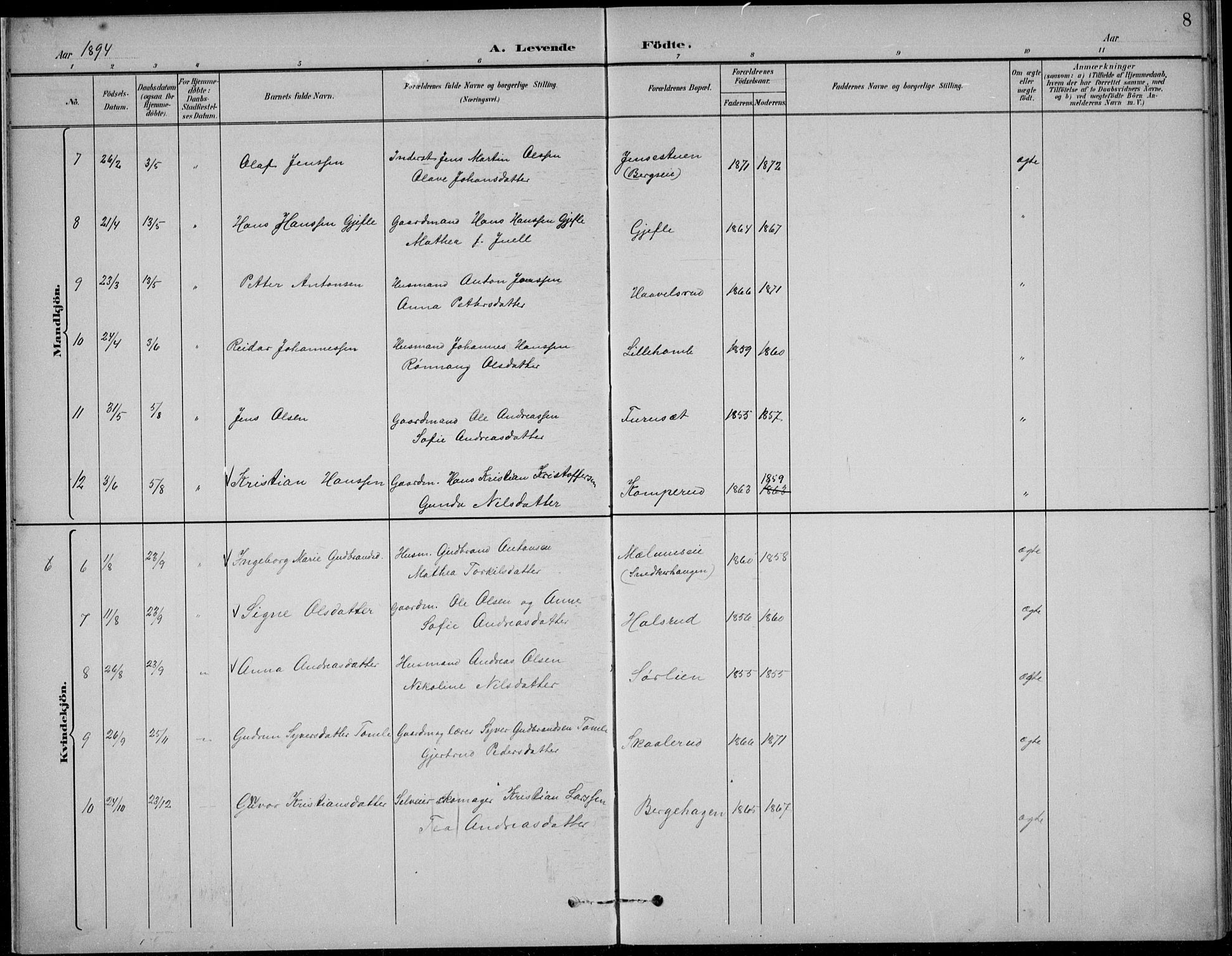 Nordre Land prestekontor, SAH/PREST-124/H/Ha/Hab/L0014: Parish register (copy) no. 14, 1891-1907, p. 8