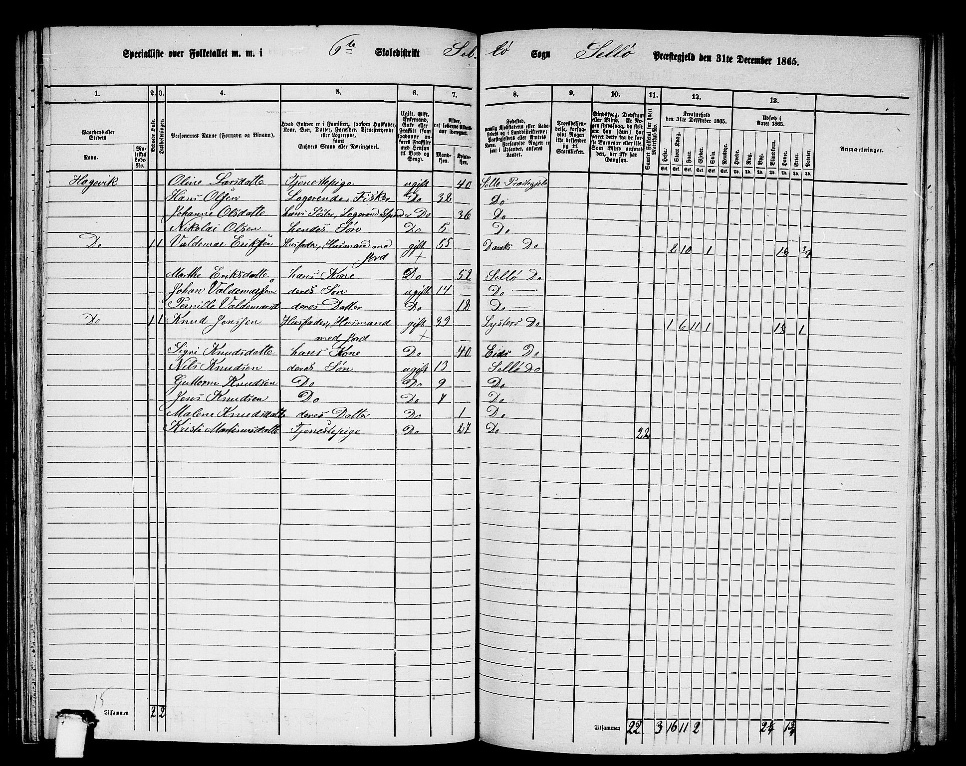 RA, 1865 census for Selje, 1865, p. 107