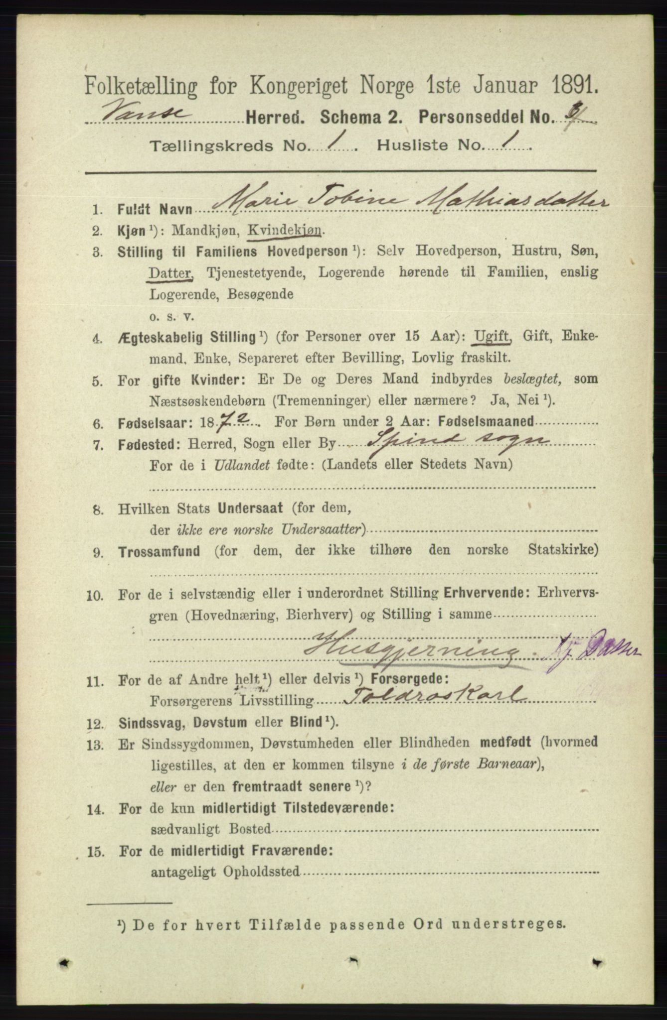 RA, 1891 census for 1041 Vanse, 1891, p. 132