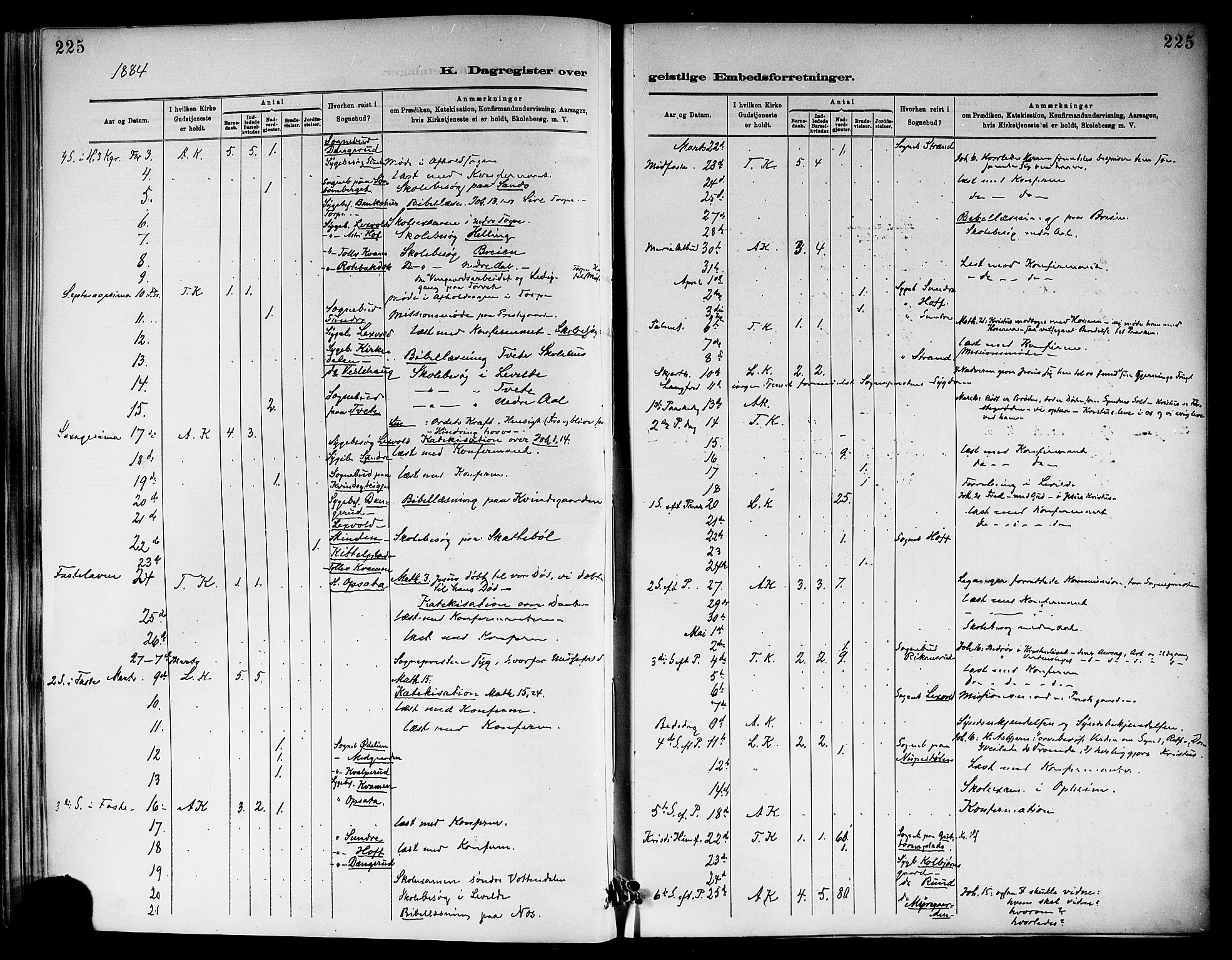 Ål kirkebøker, AV/SAKO-A-249/F/Fa/L0008: Parish register (official) no. I 8, 1882-1896, p. 225