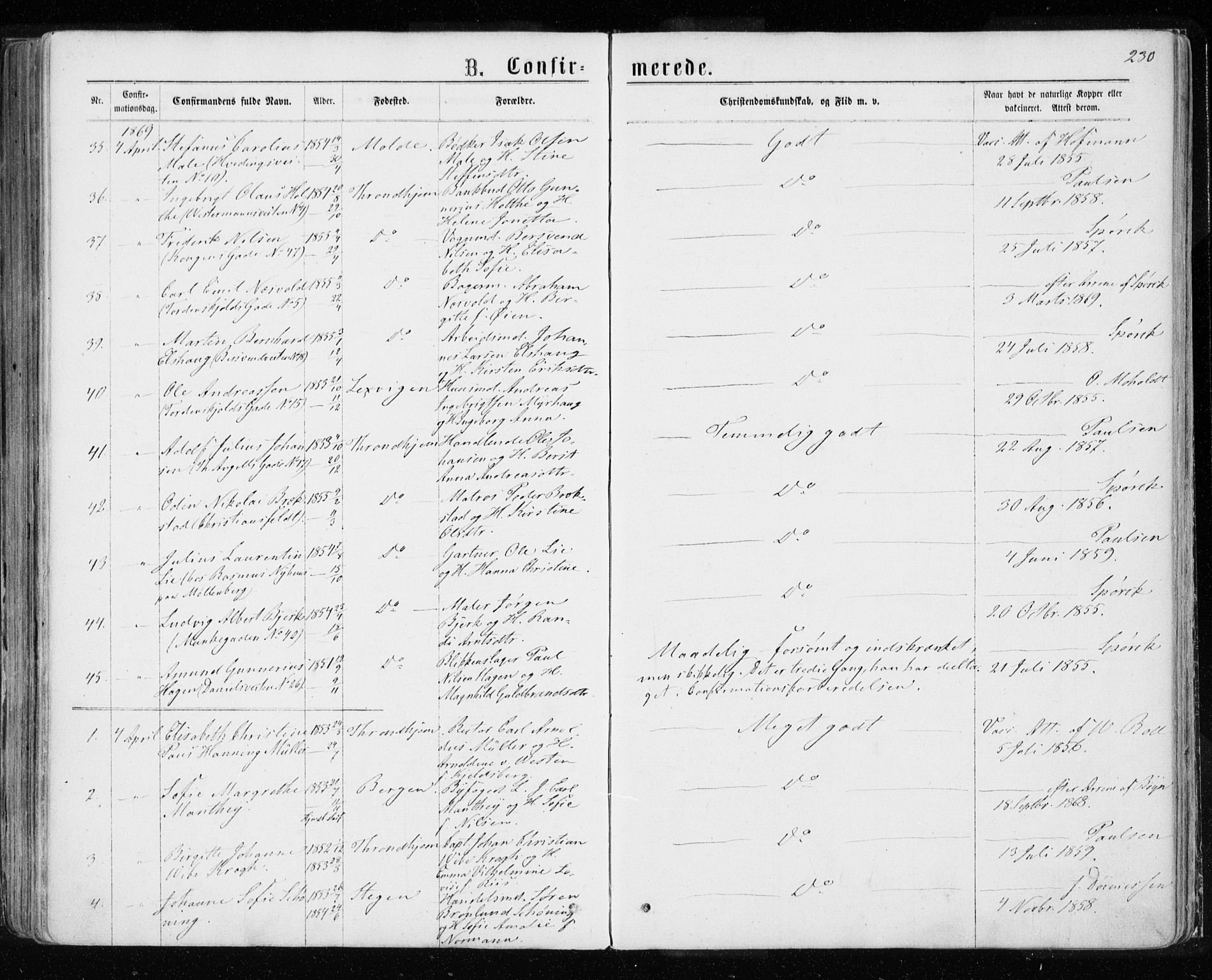 Ministerialprotokoller, klokkerbøker og fødselsregistre - Sør-Trøndelag, SAT/A-1456/601/L0054: Parish register (official) no. 601A22, 1866-1877, p. 230