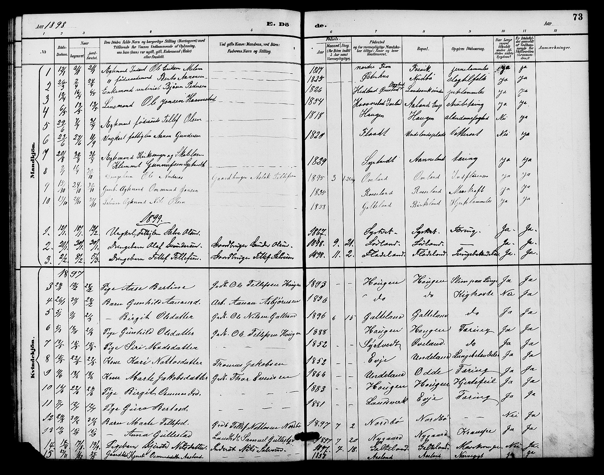 Evje sokneprestkontor, AV/SAK-1111-0008/F/Fb/Fba/L0003: Parish register (copy) no. B 3, 1888-1903, p. 73