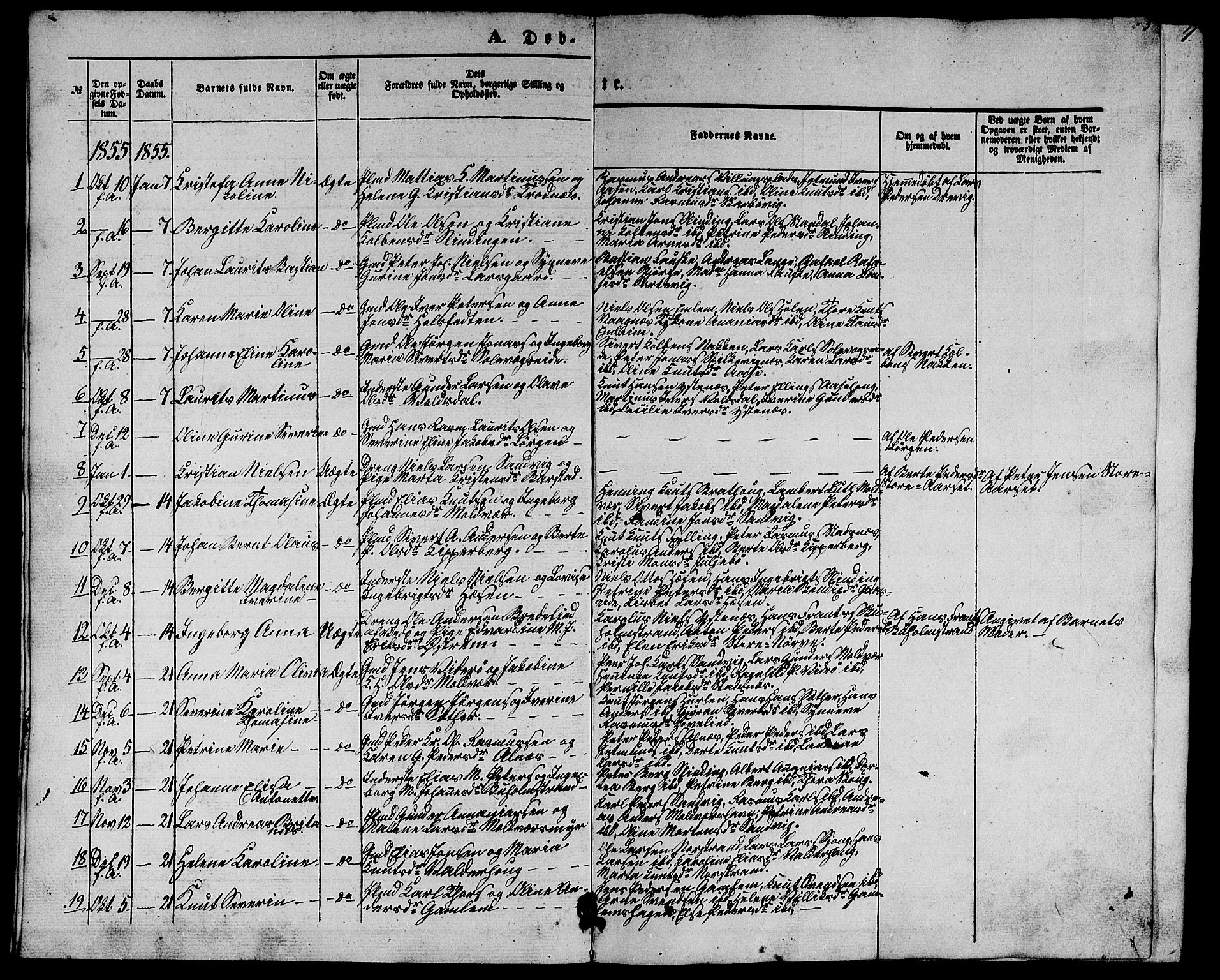 Ministerialprotokoller, klokkerbøker og fødselsregistre - Møre og Romsdal, AV/SAT-A-1454/528/L0427: Parish register (copy) no. 528C08, 1855-1864, p. 4