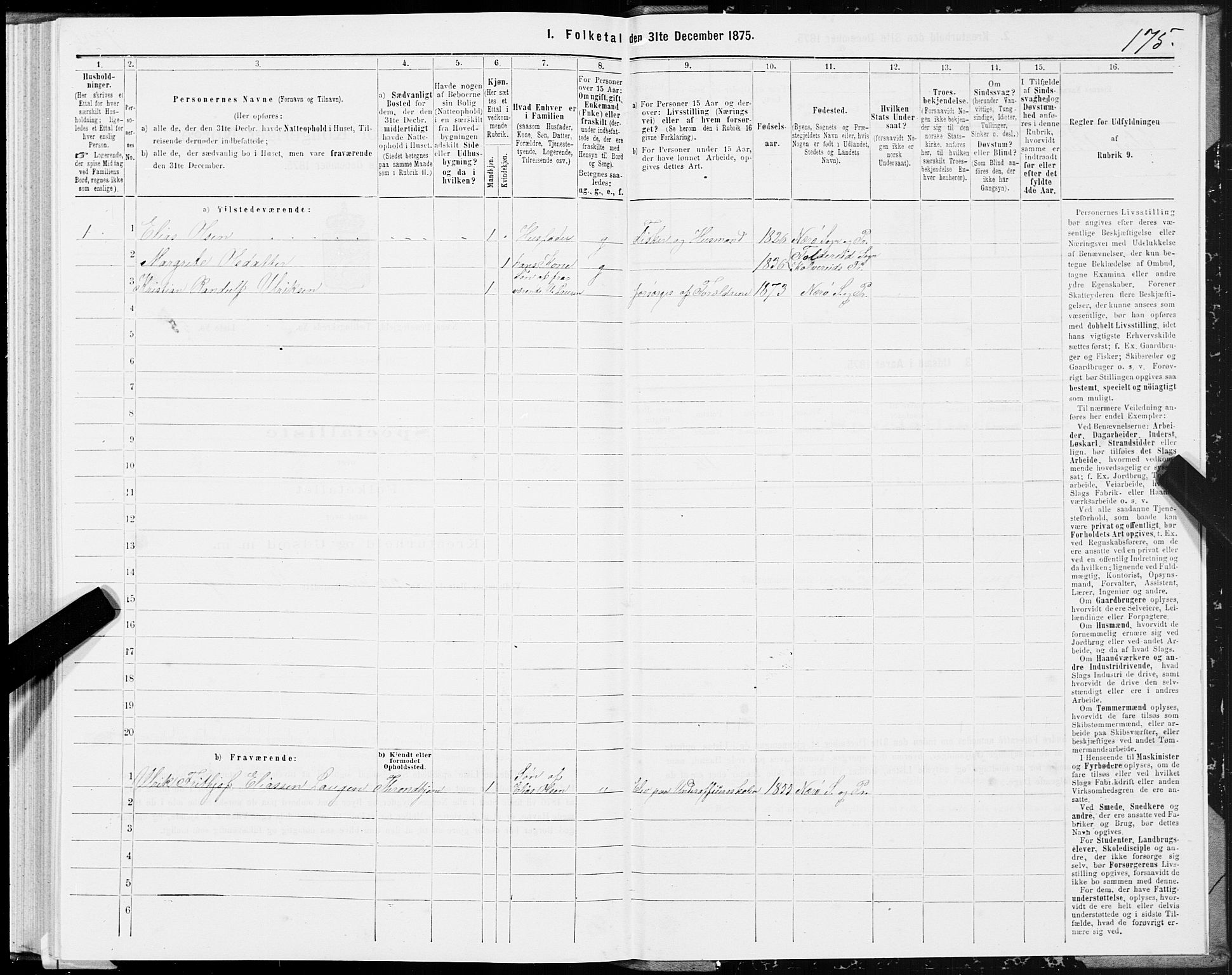 SAT, 1875 census for 1751P Nærøy, 1875, p. 1175
