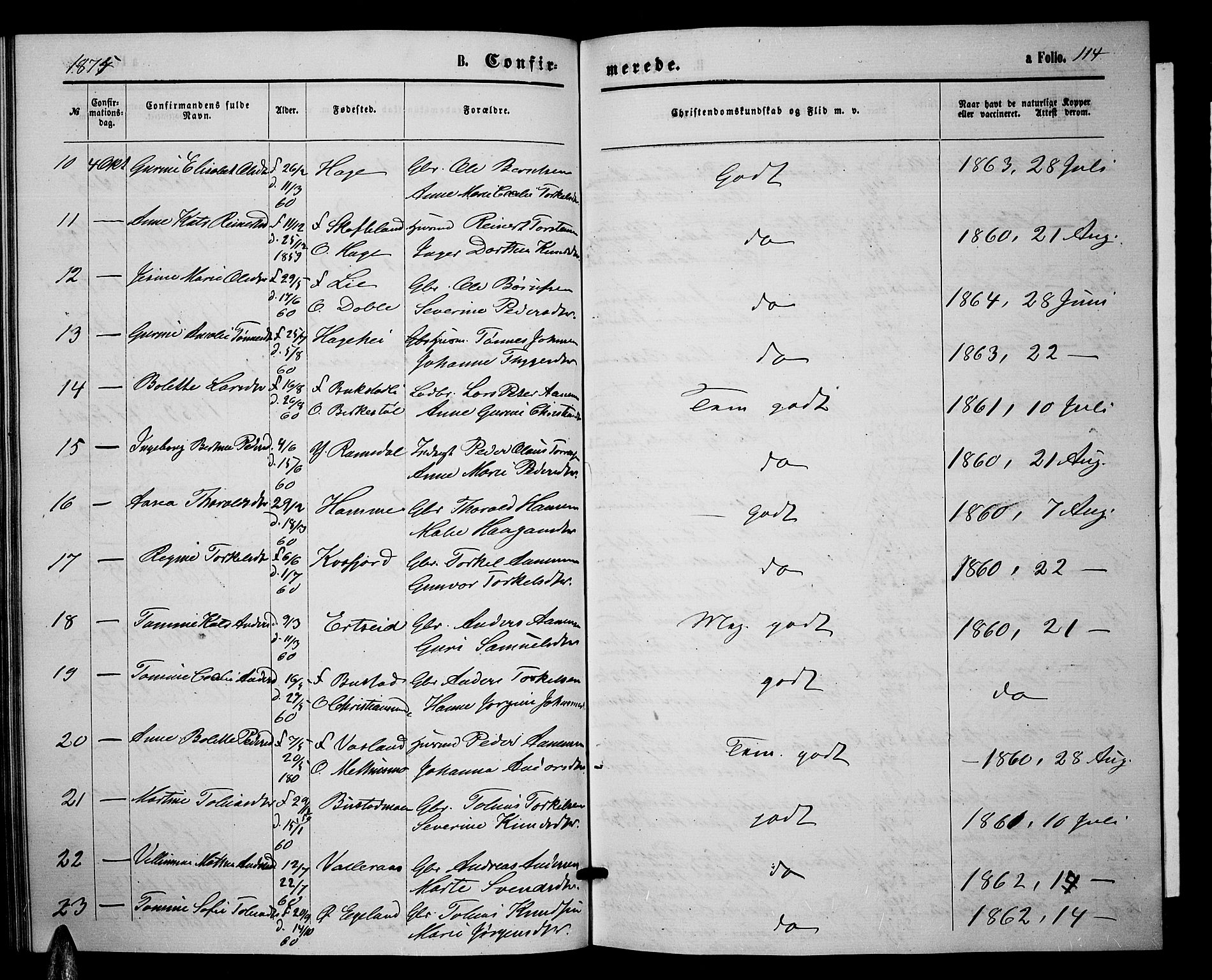 Sør-Audnedal sokneprestkontor, AV/SAK-1111-0039/F/Fb/Fbb/L0004: Parish register (copy) no. B 4, 1868-1879, p. 114