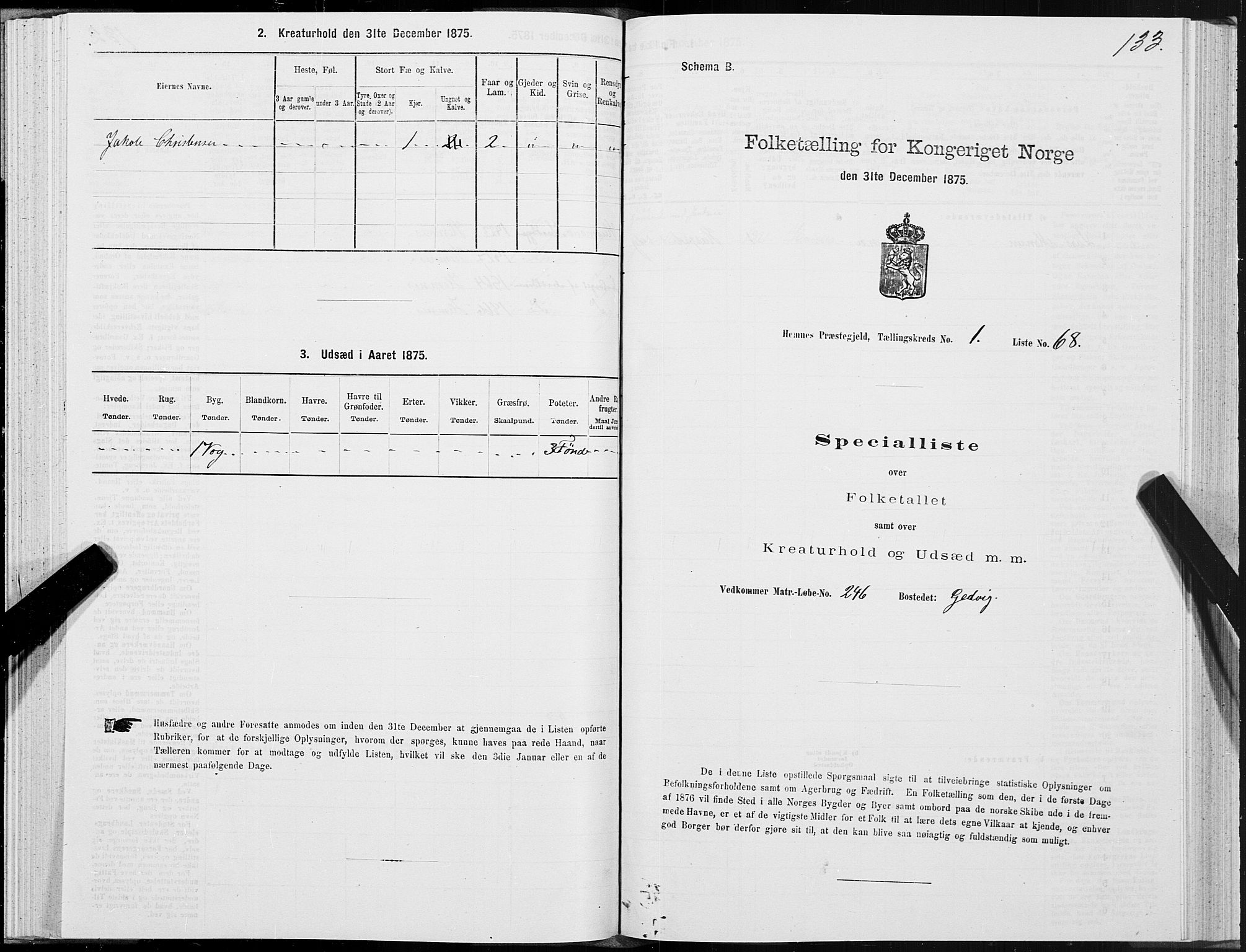 SAT, 1875 census for 1832P Hemnes, 1875, p. 1133