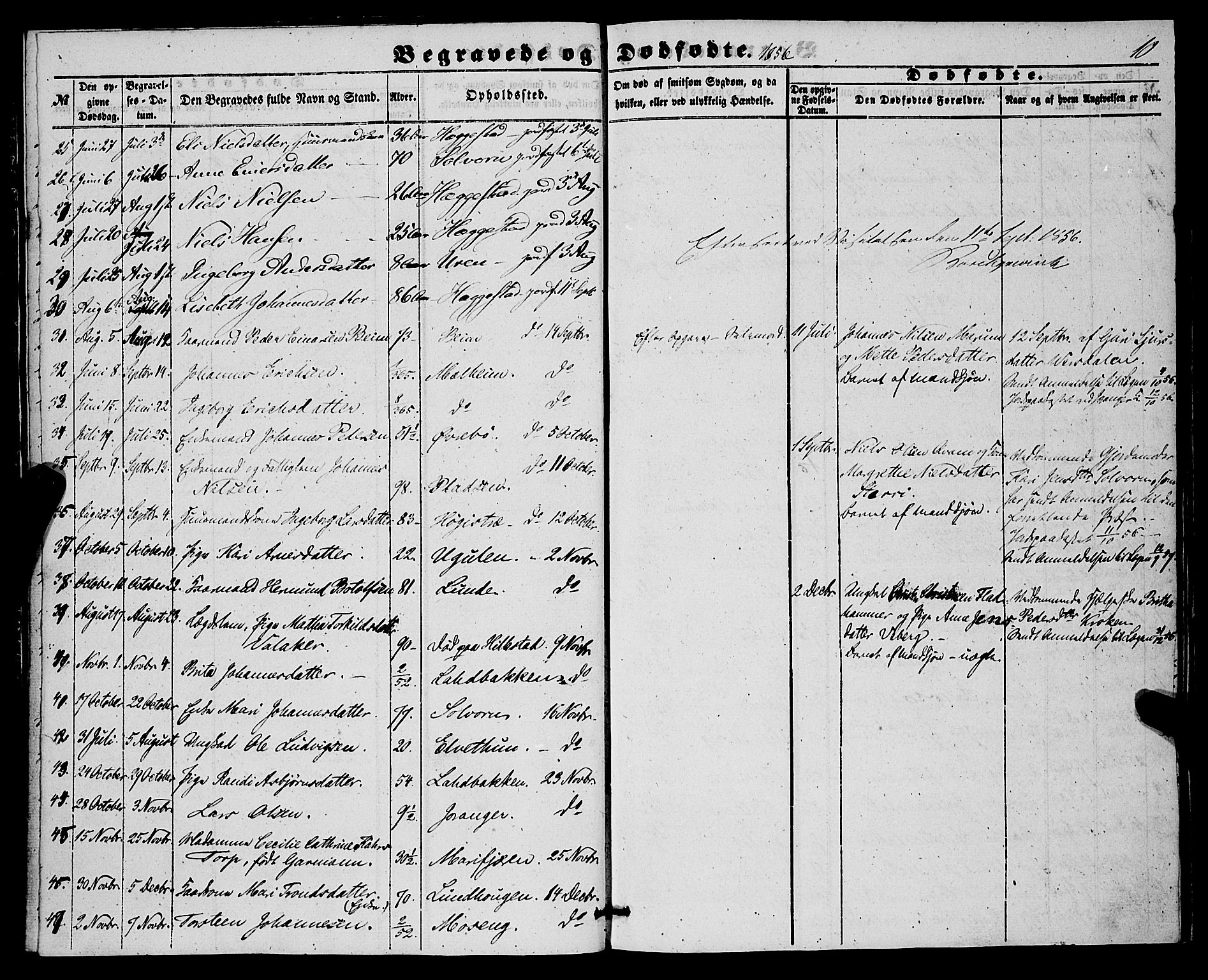 Hafslo sokneprestembete, SAB/A-80301/H/Haa/Haaa/L0010: Parish register (official) no. A 10, 1853-1876, p. 10