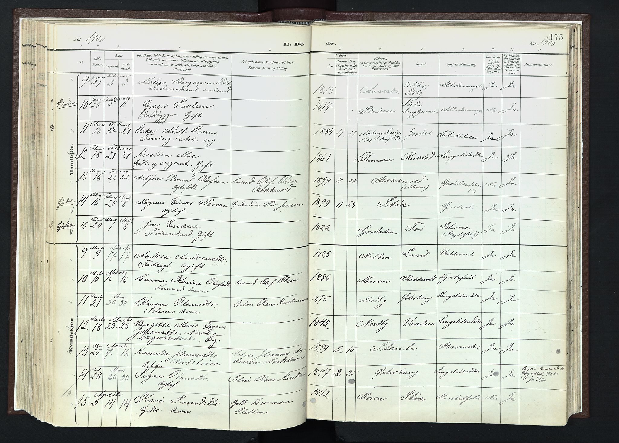 Trysil prestekontor, SAH/PREST-046/H/Ha/Haa/L0013: Parish register (official) no. 13, 1898-1911, p. 175