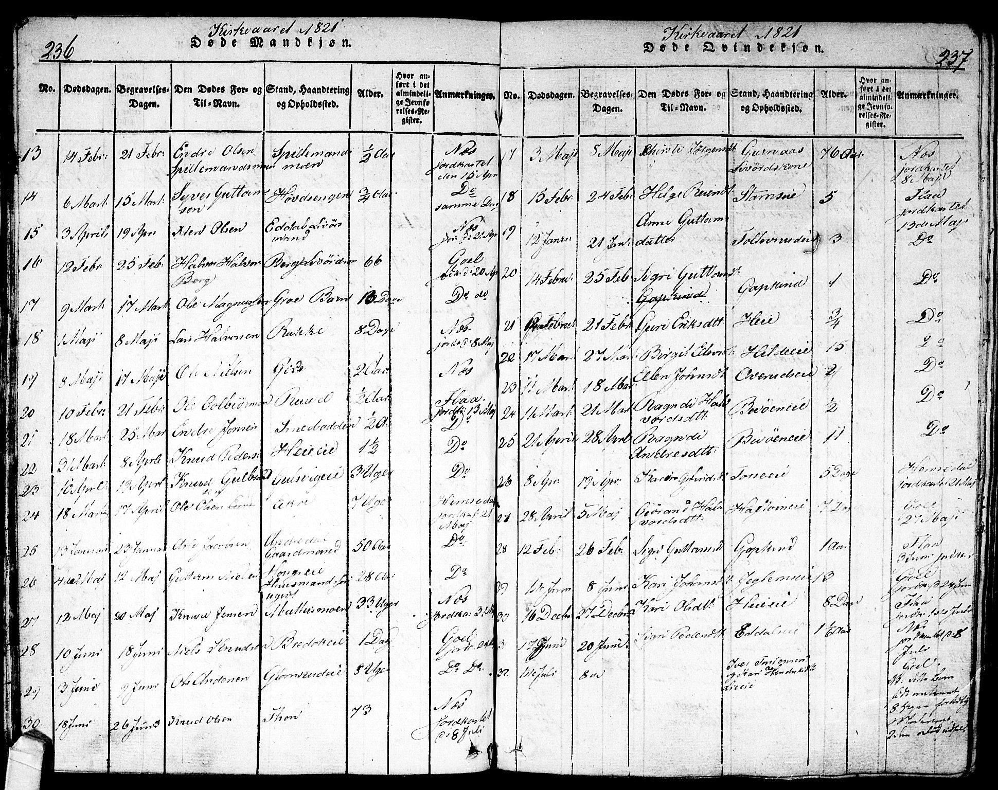 Nes kirkebøker, AV/SAKO-A-236/F/Fa/L0007: Parish register (official) no. 7, 1815-1823, p. 236-237