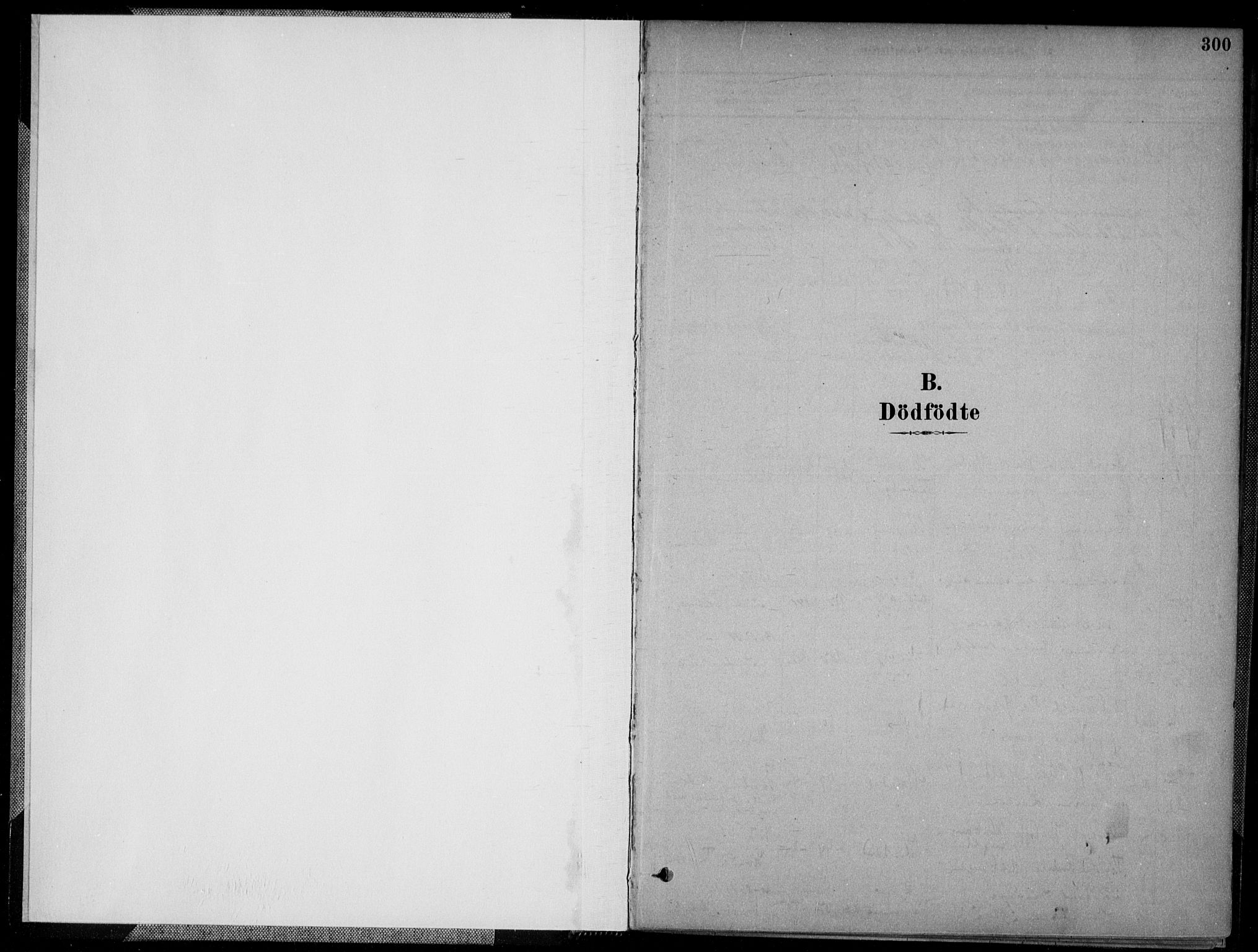 Kristiansand domprosti, SAK/1112-0006/F/Fa/L0017: Parish register (official) no. A 16B, 1880-1890, p. 300