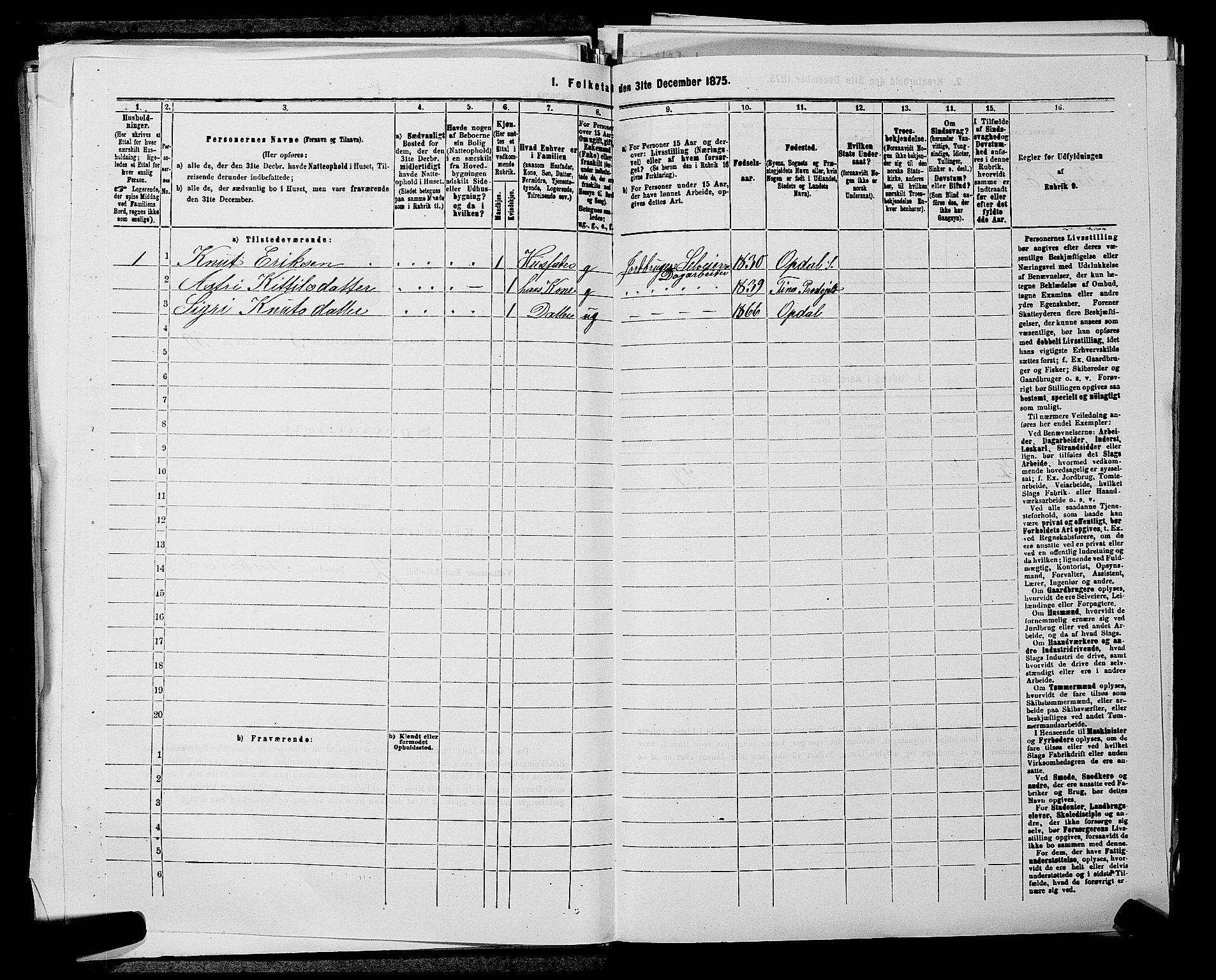 SAKO, 1875 census for 0633P Nore, 1875, p. 377