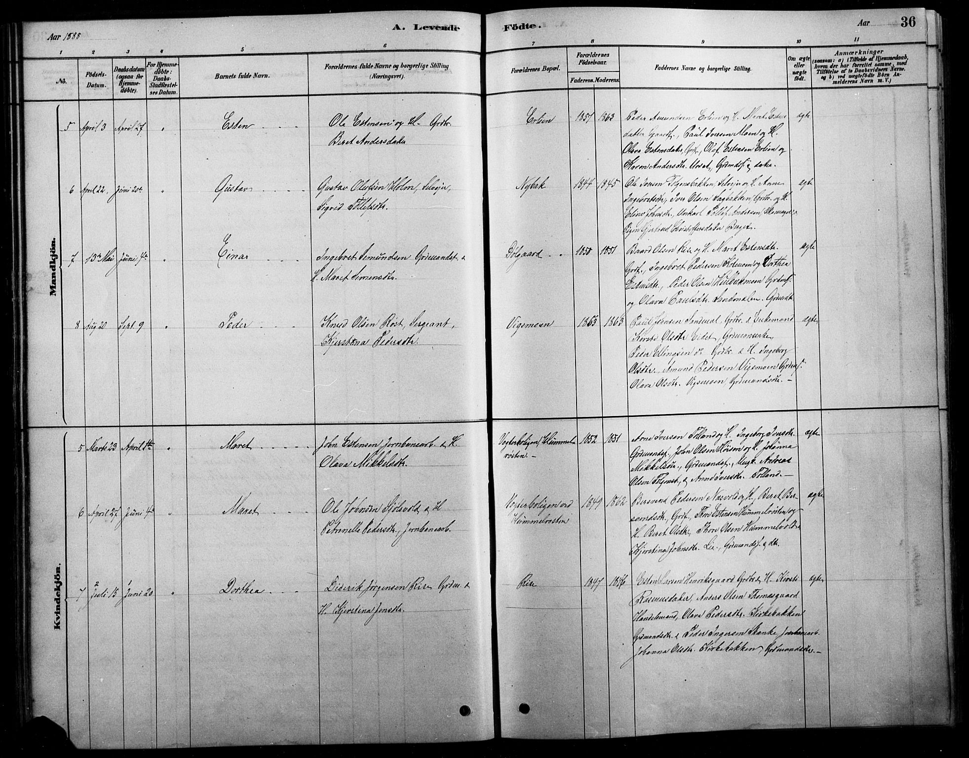 Tolga prestekontor, AV/SAH-PREST-062/L/L0007: Parish register (copy) no. 7, 1878-1919, p. 36