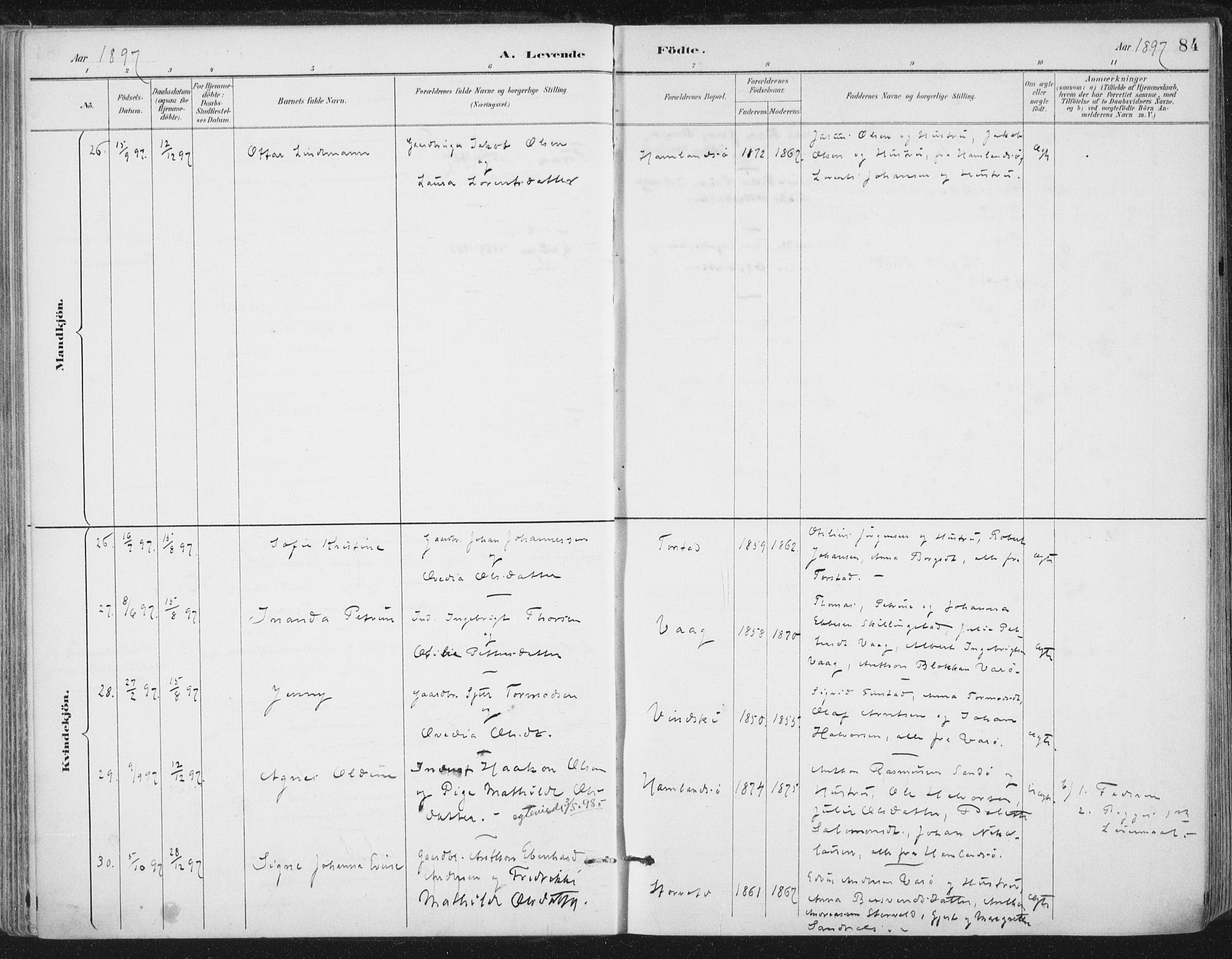Ministerialprotokoller, klokkerbøker og fødselsregistre - Nord-Trøndelag, SAT/A-1458/784/L0673: Parish register (official) no. 784A08, 1888-1899, p. 84
