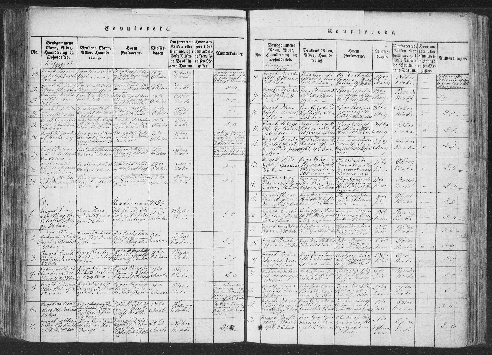 Rollag kirkebøker, AV/SAKO-A-240/F/Fa/L0006: Parish register (official) no. I 6, 1814-1828, p. 201