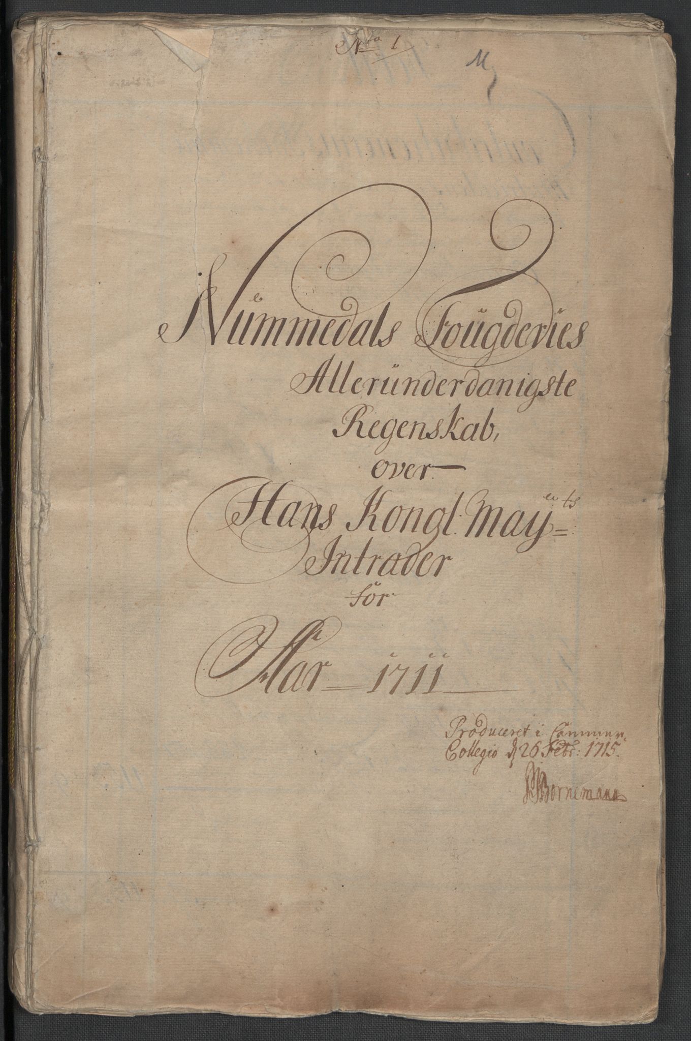 Rentekammeret inntil 1814, Reviderte regnskaper, Fogderegnskap, RA/EA-4092/R64/L4432: Fogderegnskap Namdal, 1711, p. 3