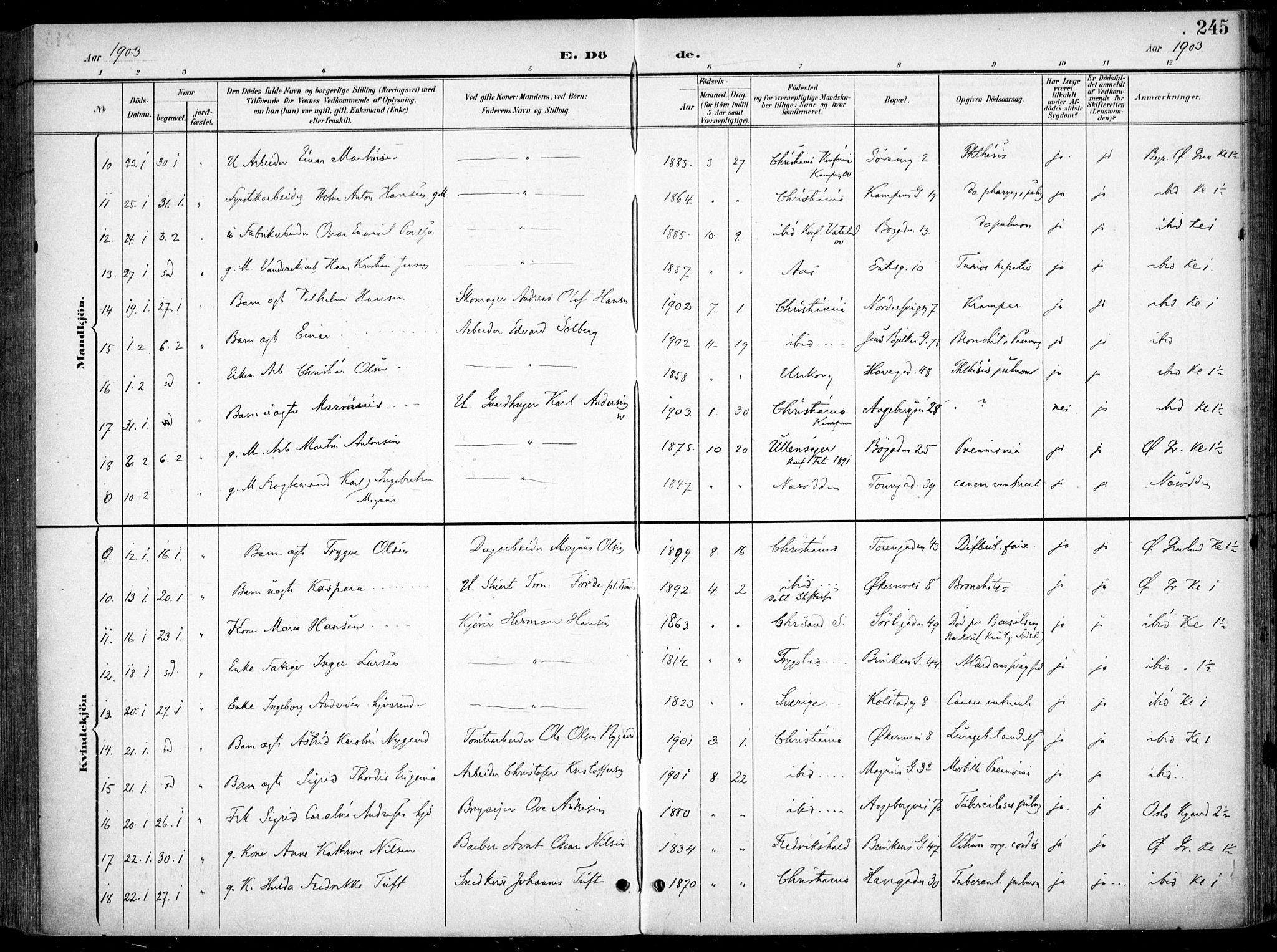 Kampen prestekontor Kirkebøker, SAO/A-10853/F/Fa/L0009: Parish register (official) no. I 9, 1899-1911, p. 245