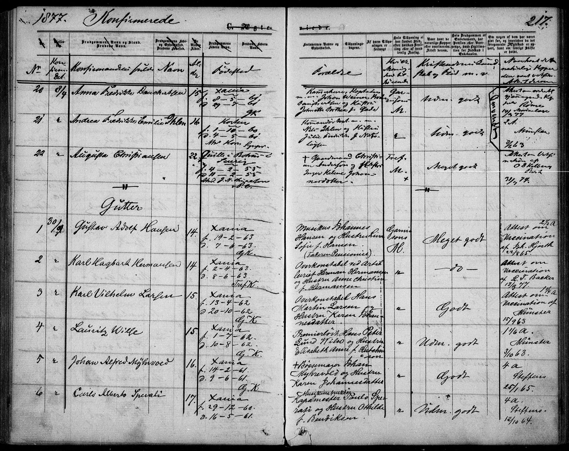 Garnisonsmenigheten Kirkebøker, AV/SAO-A-10846/F/Fa/L0011: Parish register (official) no. 11, 1870-1880, p. 217