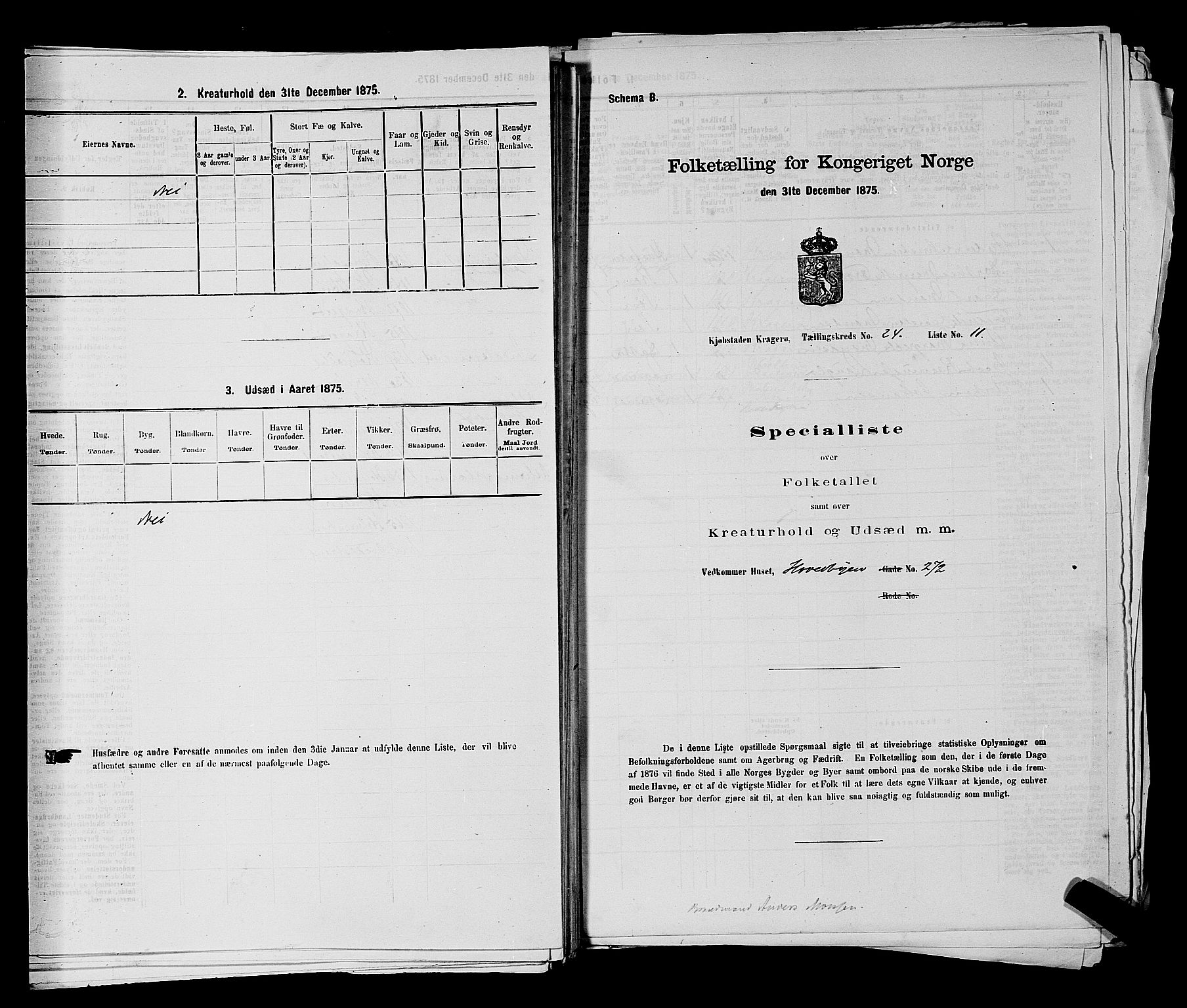 SAKO, 1875 census for 0801P Kragerø, 1875, p. 533