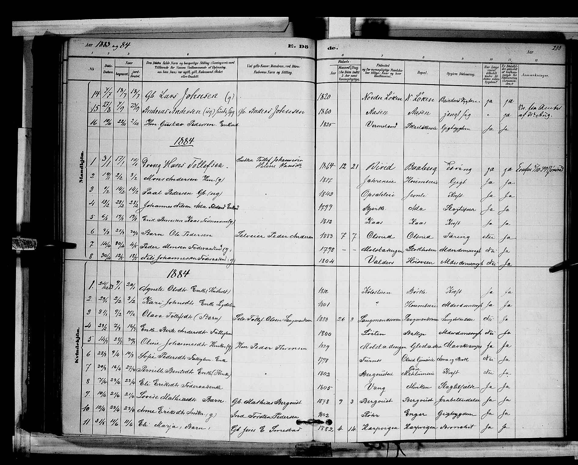 Ringsaker prestekontor, AV/SAH-PREST-014/L/La/L0011: Parish register (copy) no. 11, 1879-1890, p. 200