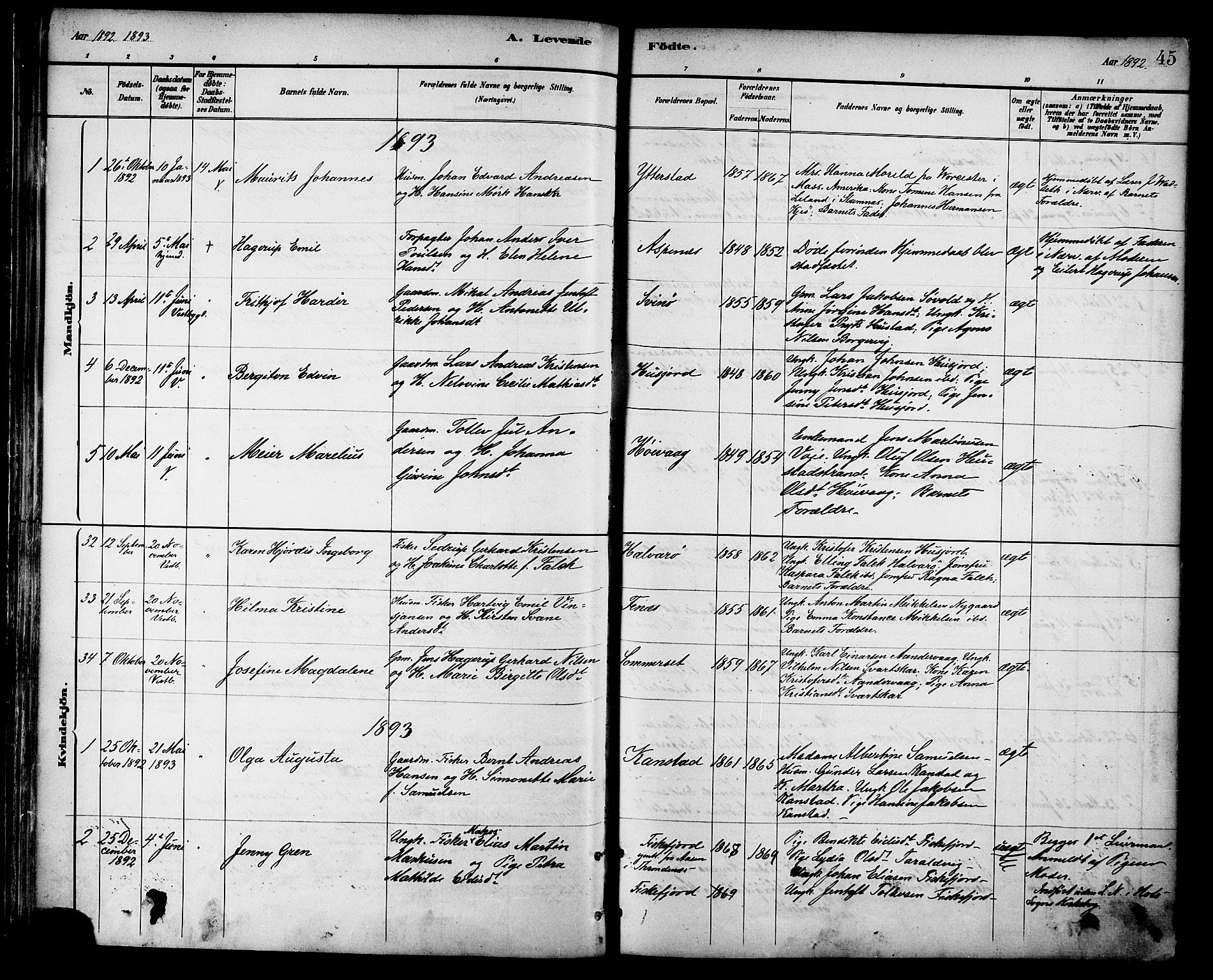 Ministerialprotokoller, klokkerbøker og fødselsregistre - Nordland, AV/SAT-A-1459/872/L1035: Parish register (official) no. 872A10, 1884-1896, p. 45