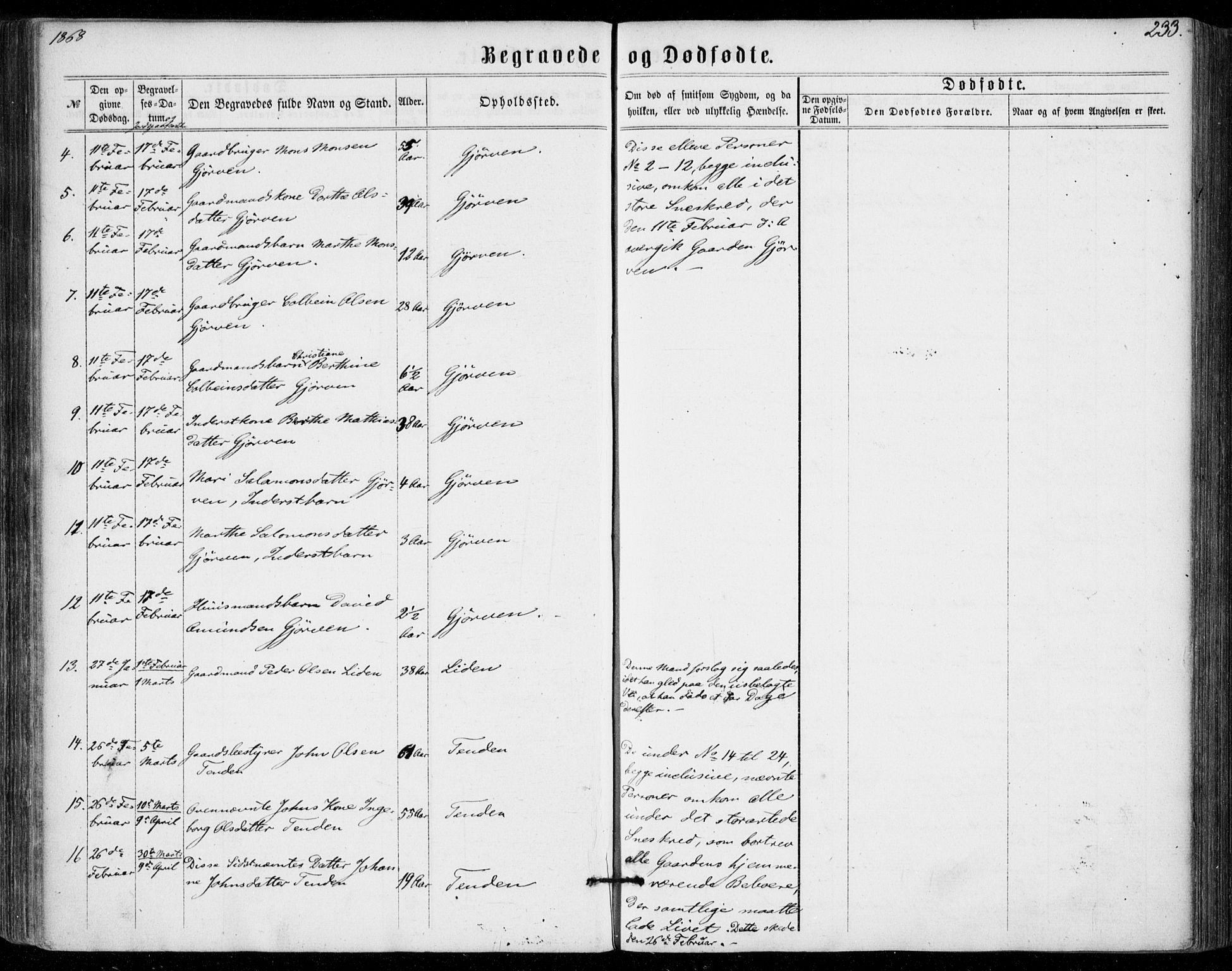 Stryn Sokneprestembete, AV/SAB-A-82501: Parish register (official) no. A 3, 1862-1877, p. 233