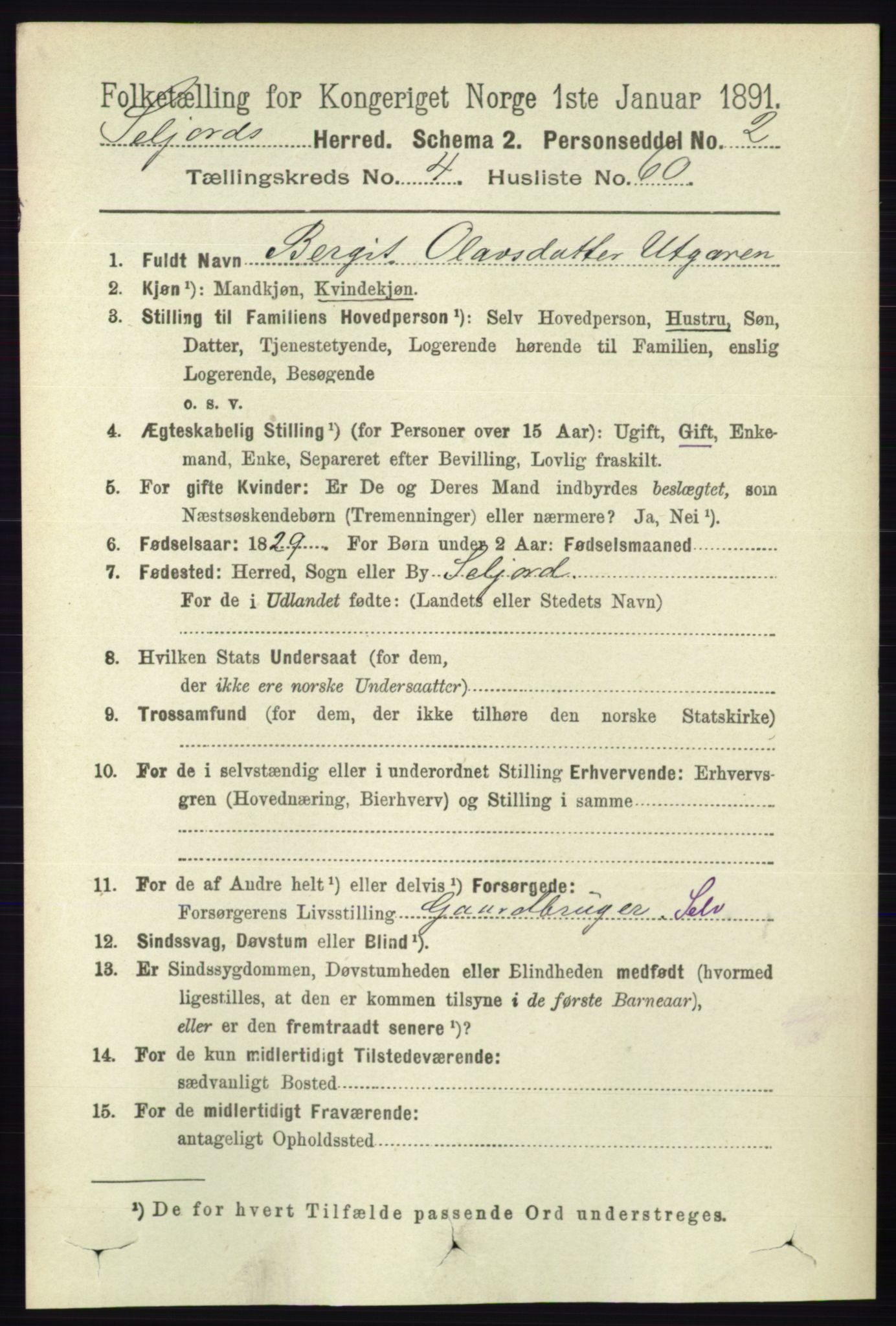 RA, 1891 census for 0828 Seljord, 1891, p. 1652