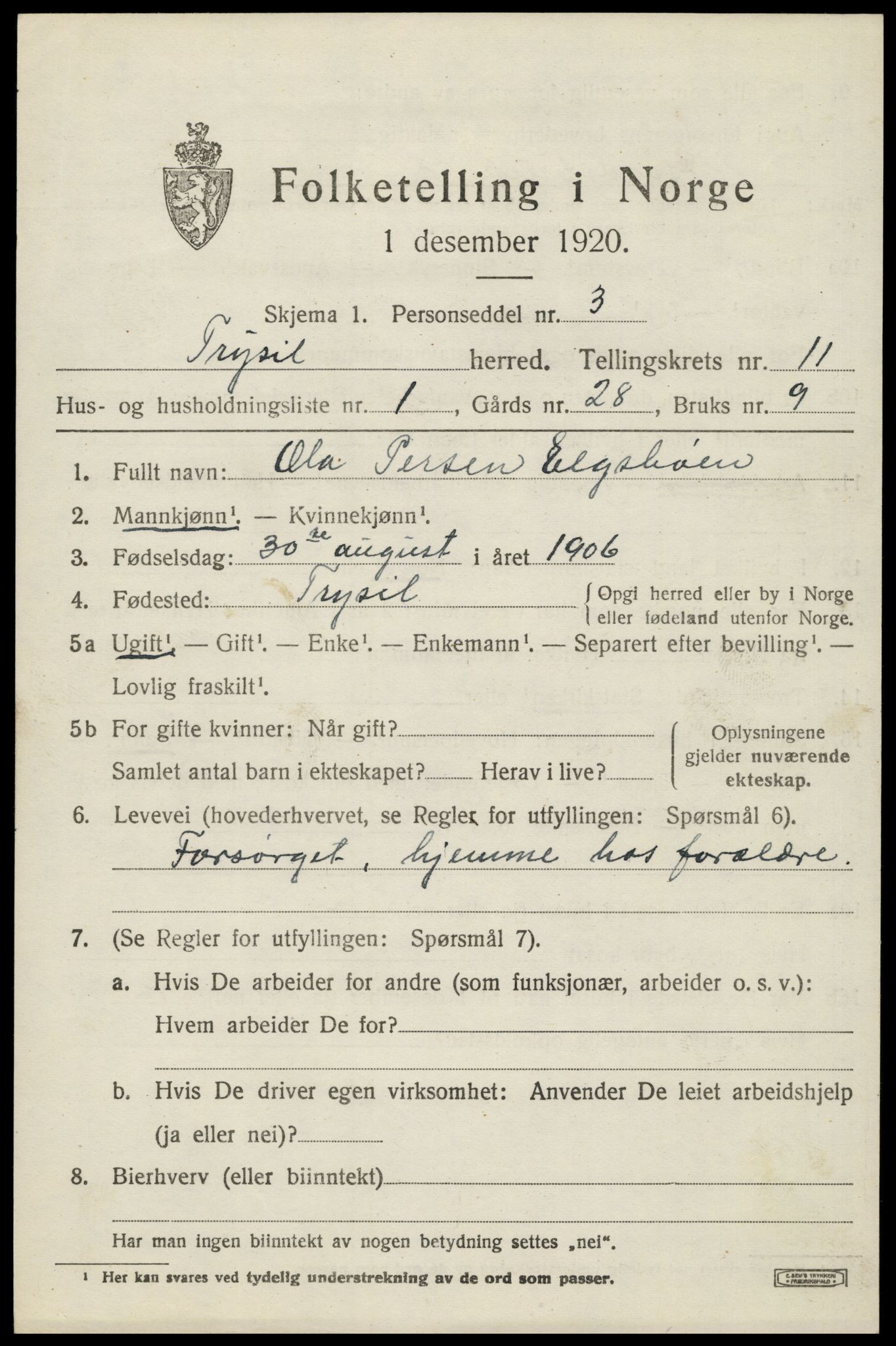 SAH, 1920 census for Trysil, 1920, p. 6961