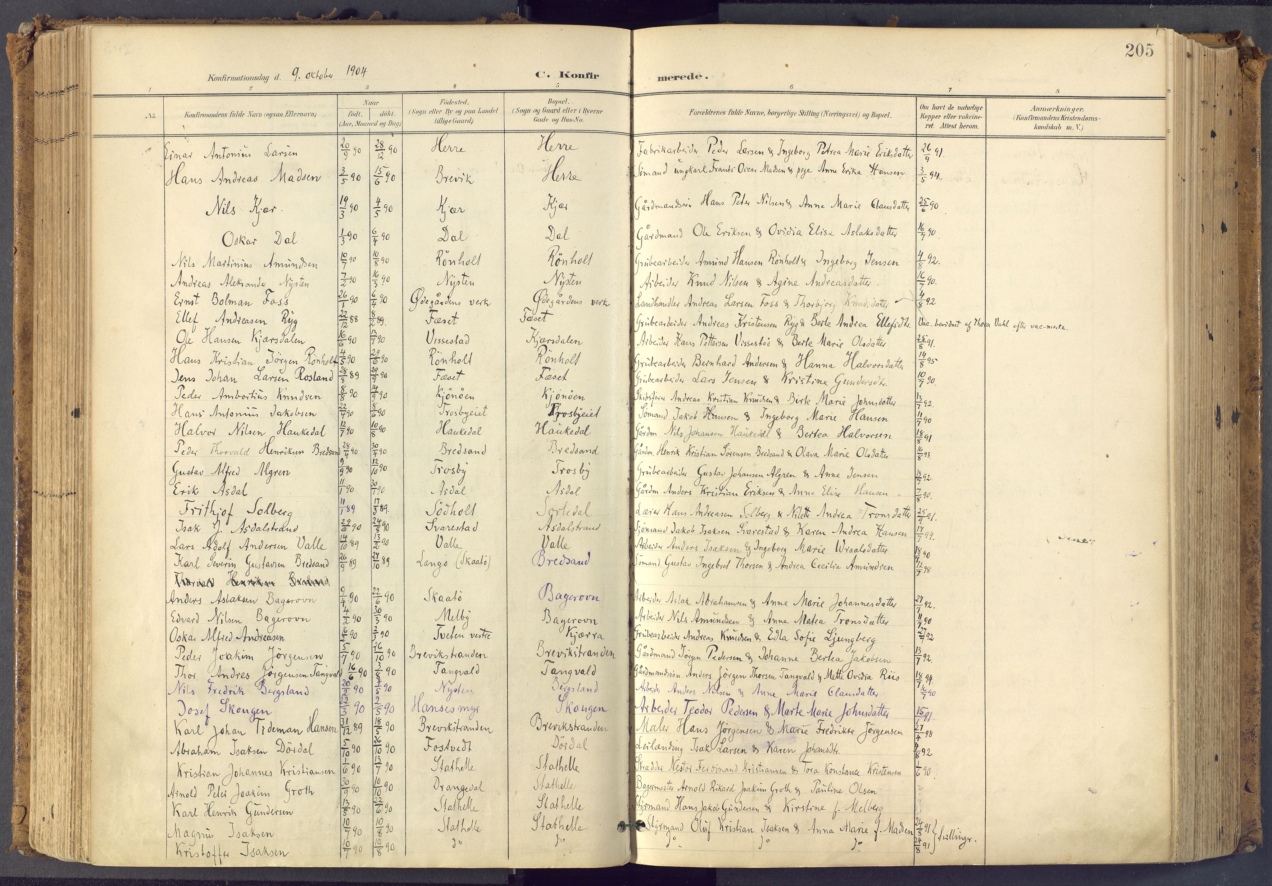 Bamble kirkebøker, AV/SAKO-A-253/F/Fa/L0009: Parish register (official) no. I 9, 1901-1917, p. 205