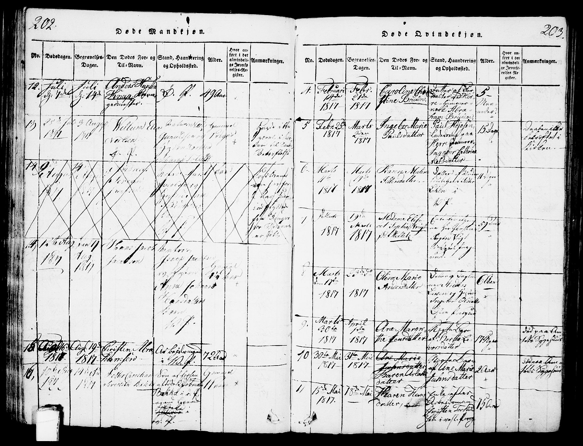 Porsgrunn kirkebøker , AV/SAKO-A-104/G/Gb/L0001: Parish register (copy) no. II 1, 1817-1828, p. 202-203