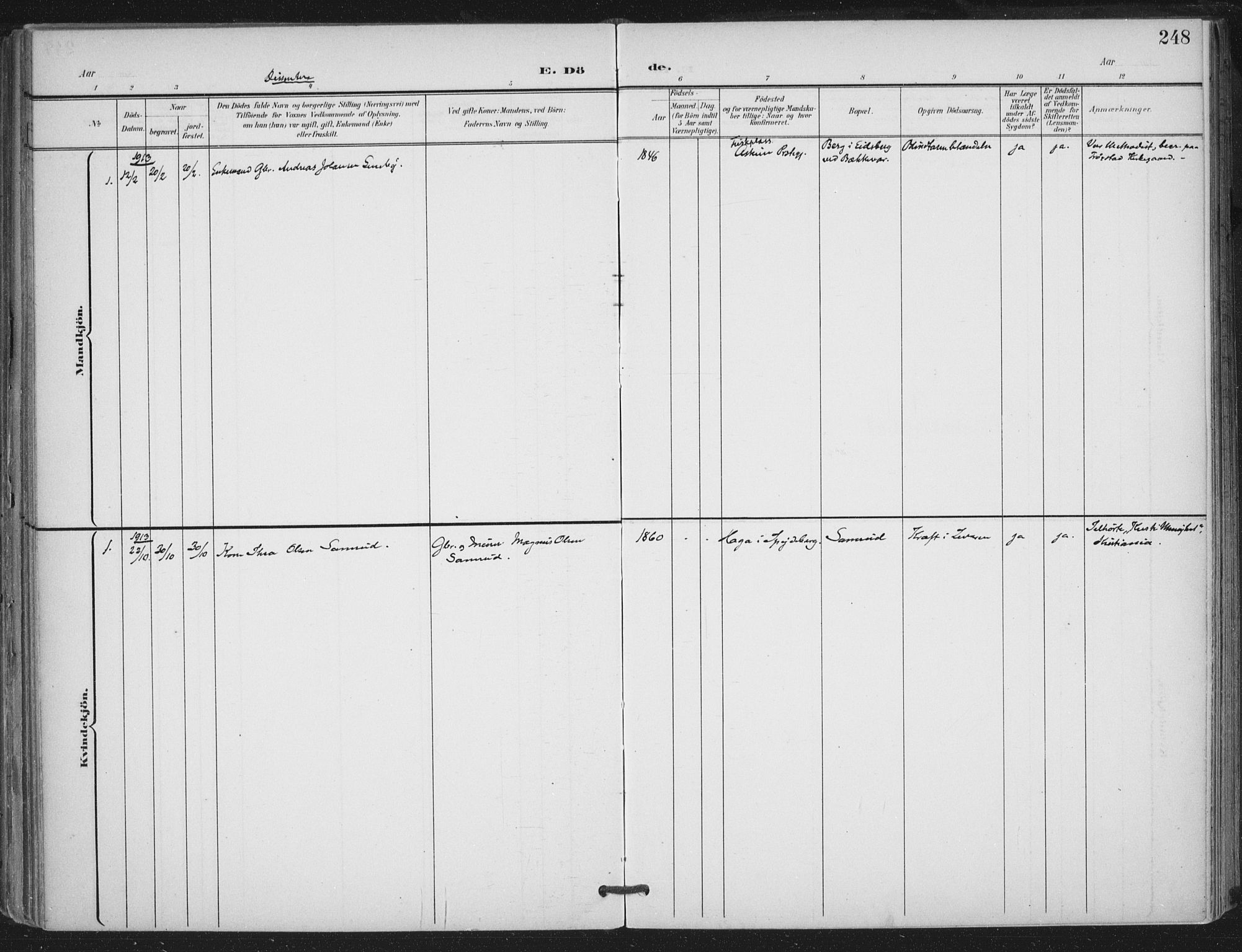 Trøgstad prestekontor Kirkebøker, SAO/A-10925/F/Fa/L0011: Parish register (official) no. I 11, 1899-1919, p. 248