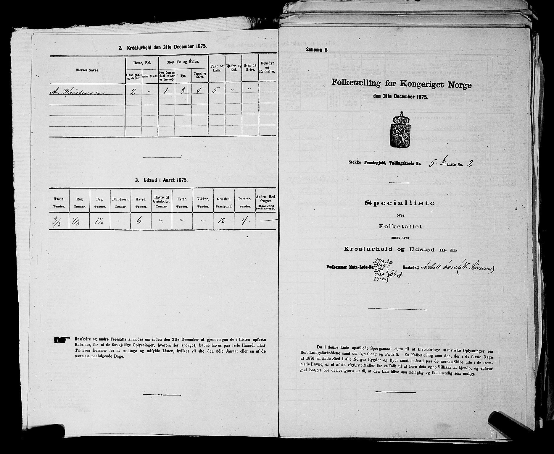 SAKO, 1875 census for 0720P Stokke, 1875, p. 1113